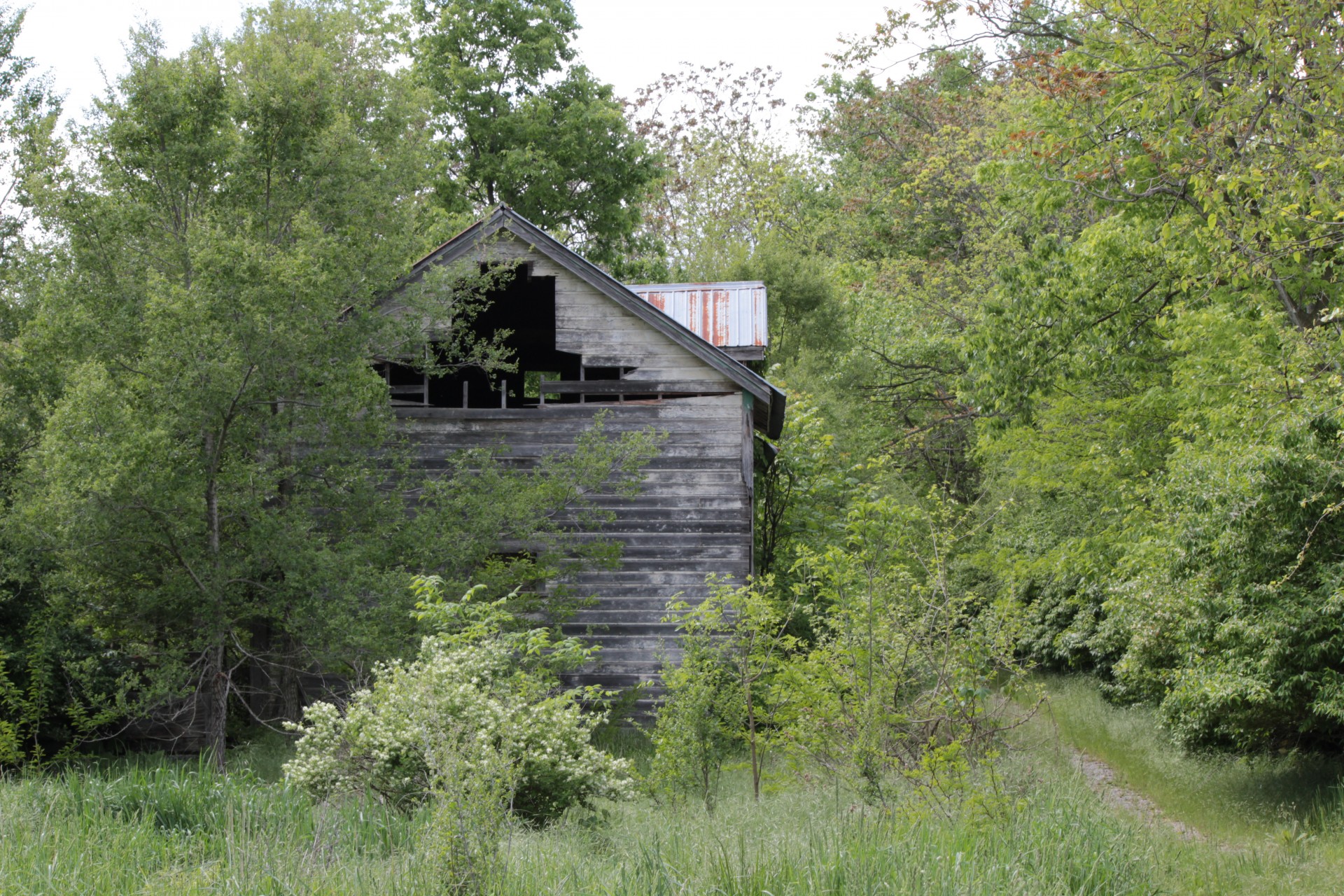 Abandonat Farmhouse