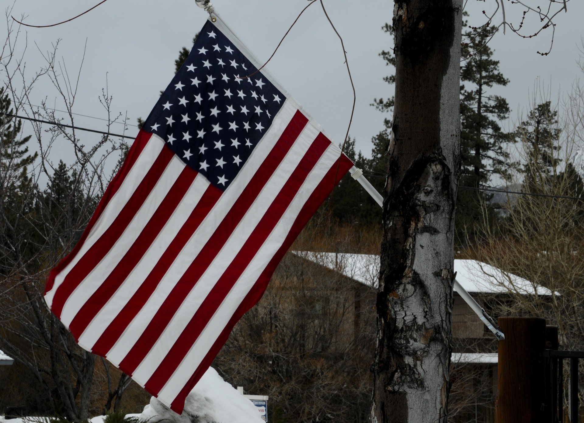Flag american în iarnă