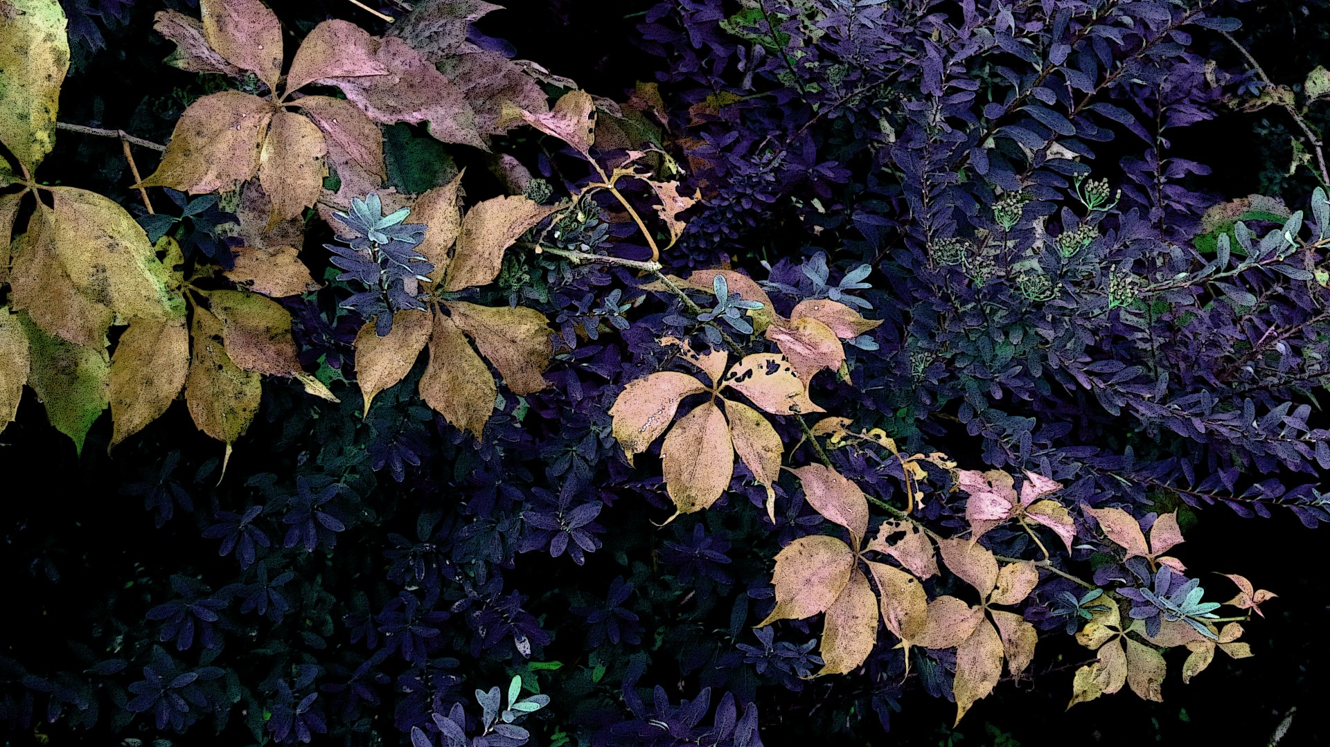 Fundal de plante cu frunze