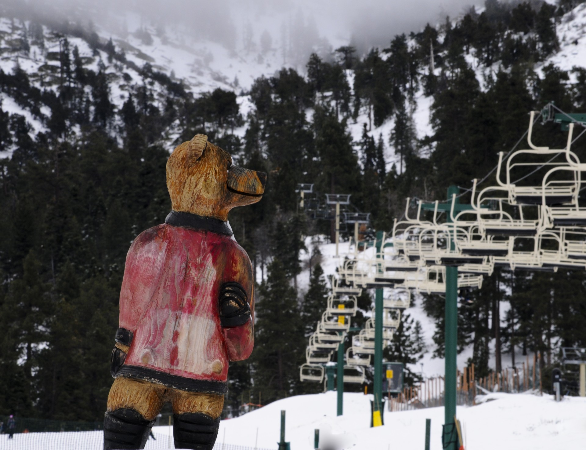 Ursul Sculptura pe pante de schi