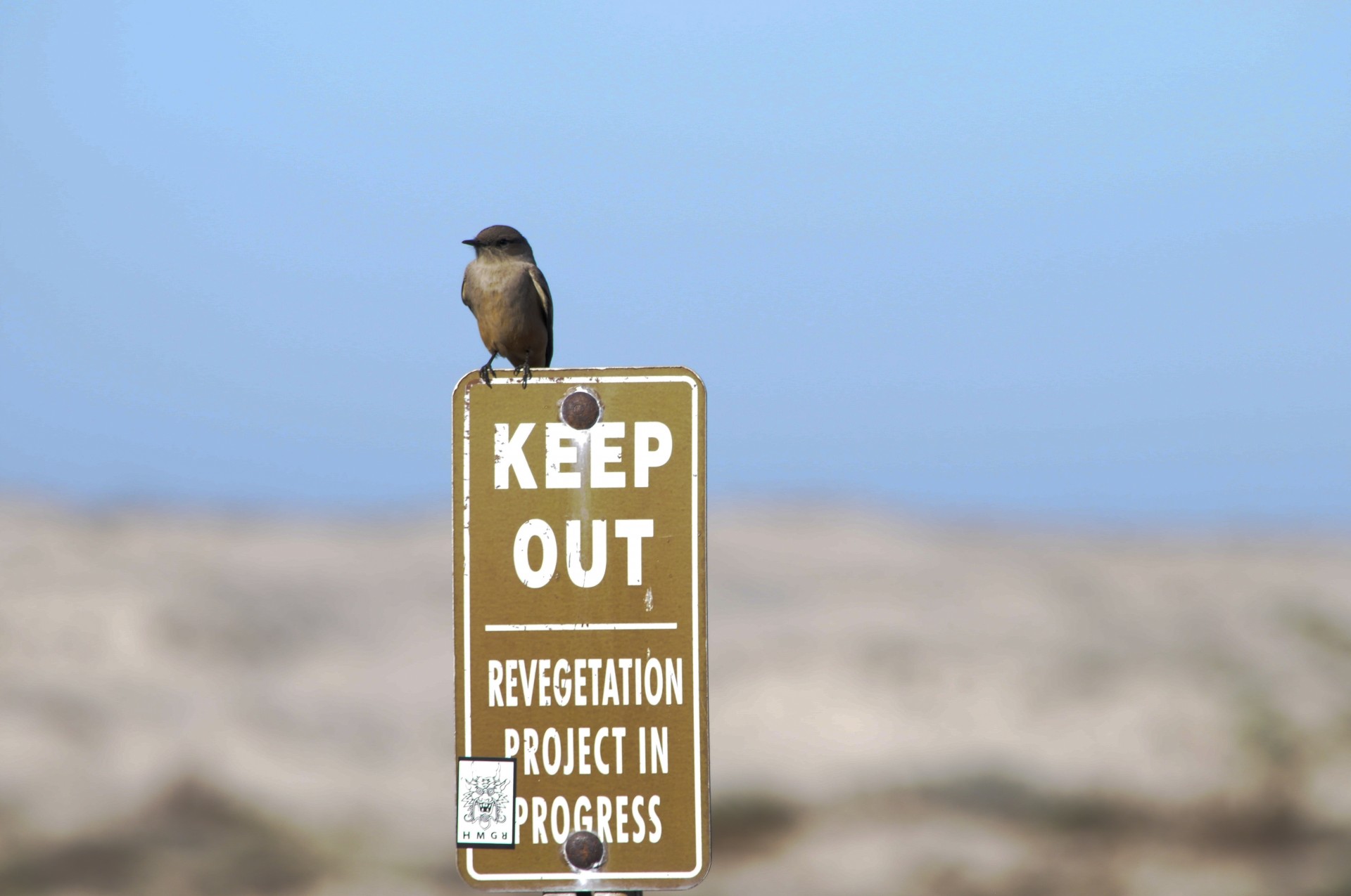 Pássaro Guarda Keep Out Sign