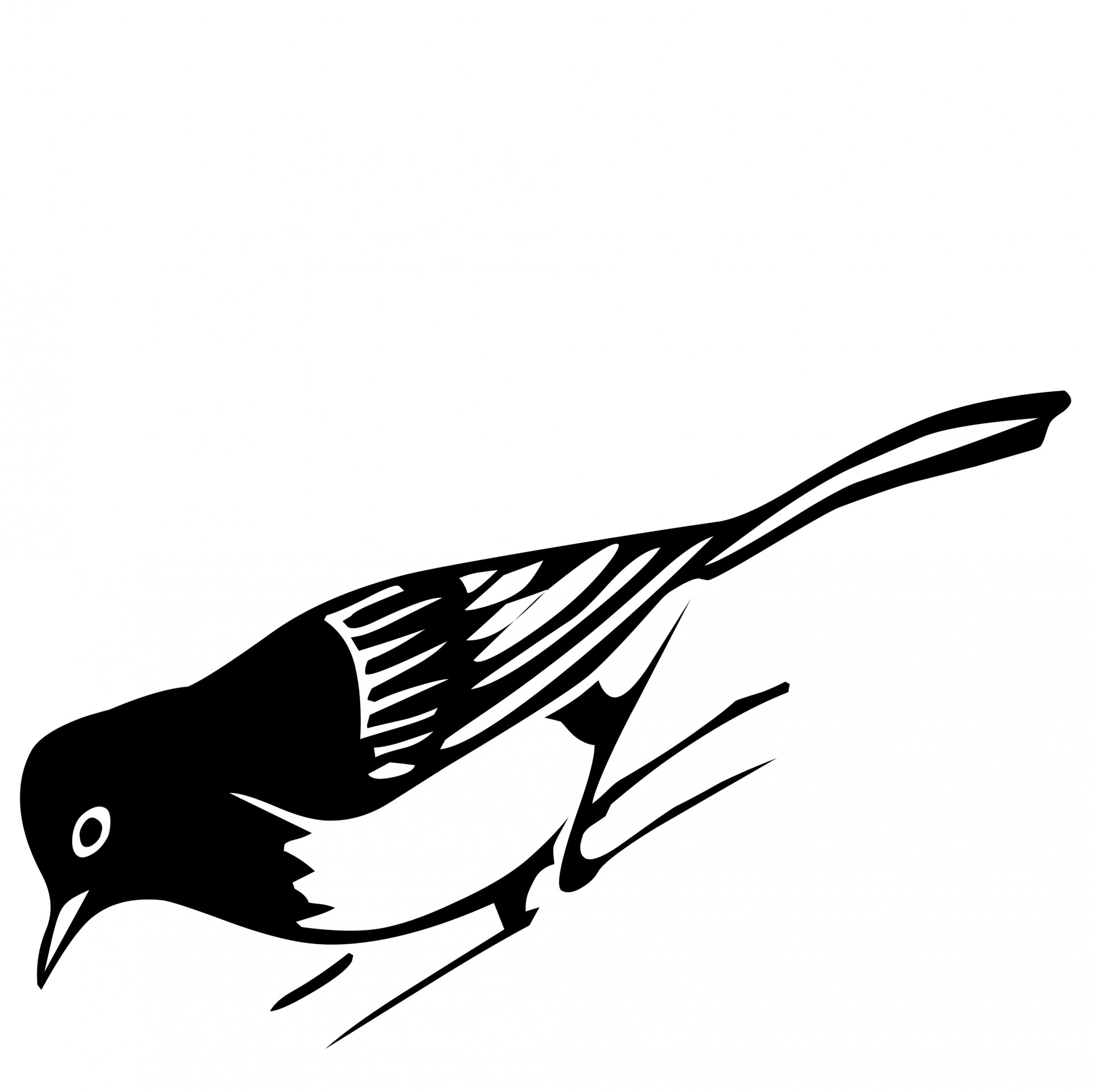 Pasăre negru