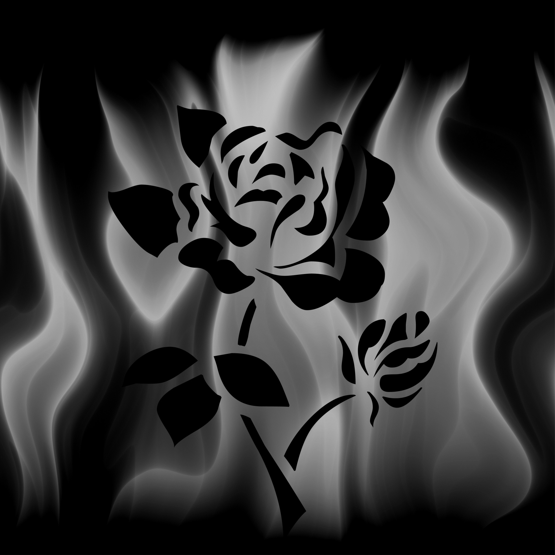 Trandafir negru