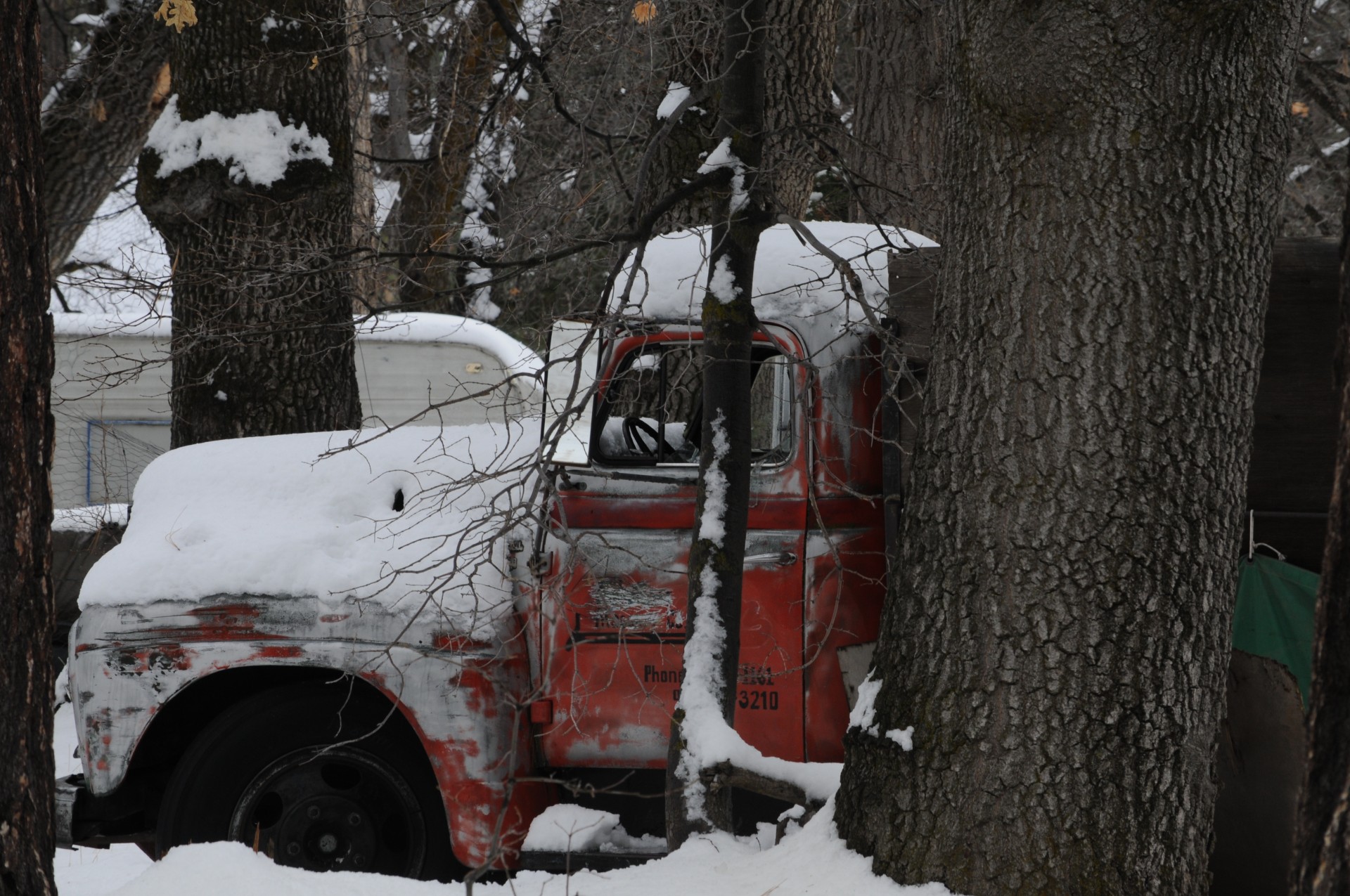 Camioane Pickup Classic în zăpadă