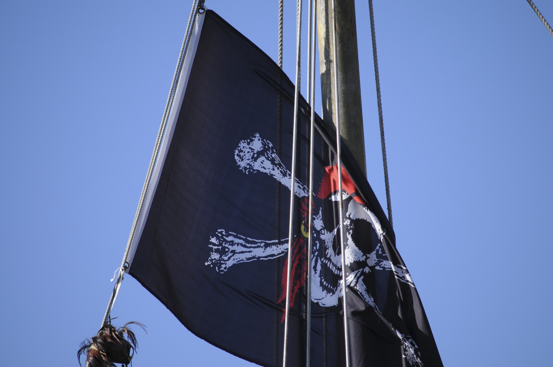 Close-up de Pirate Flag