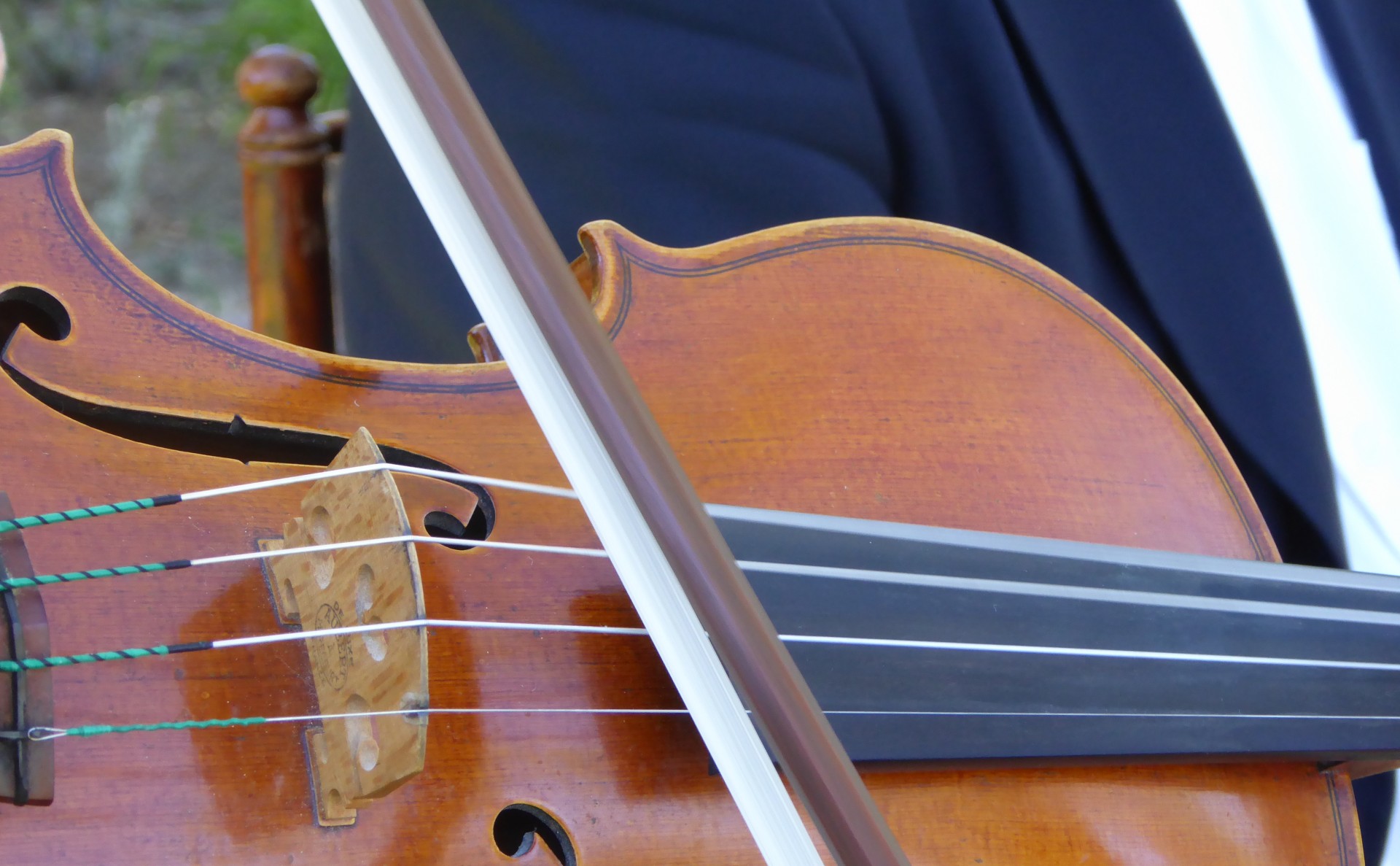 Closeup de vioara