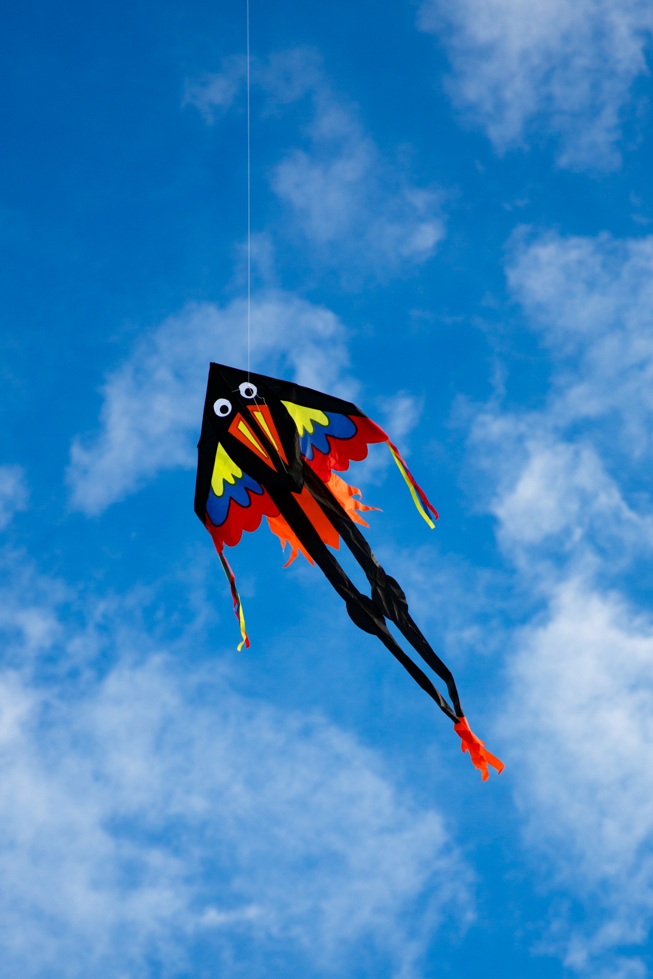 Kite colorée dans le ciel