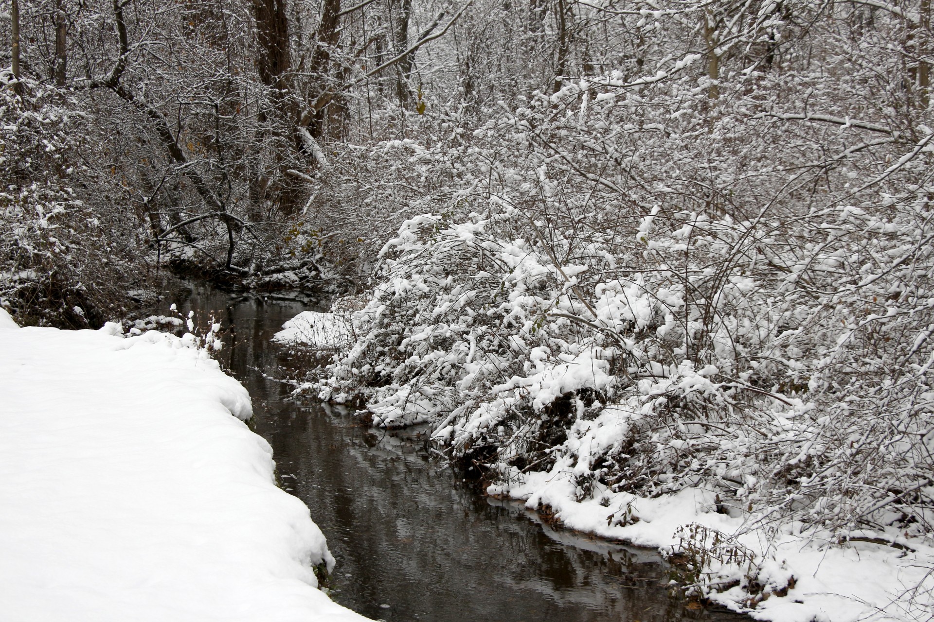 Creek în timpul iernii