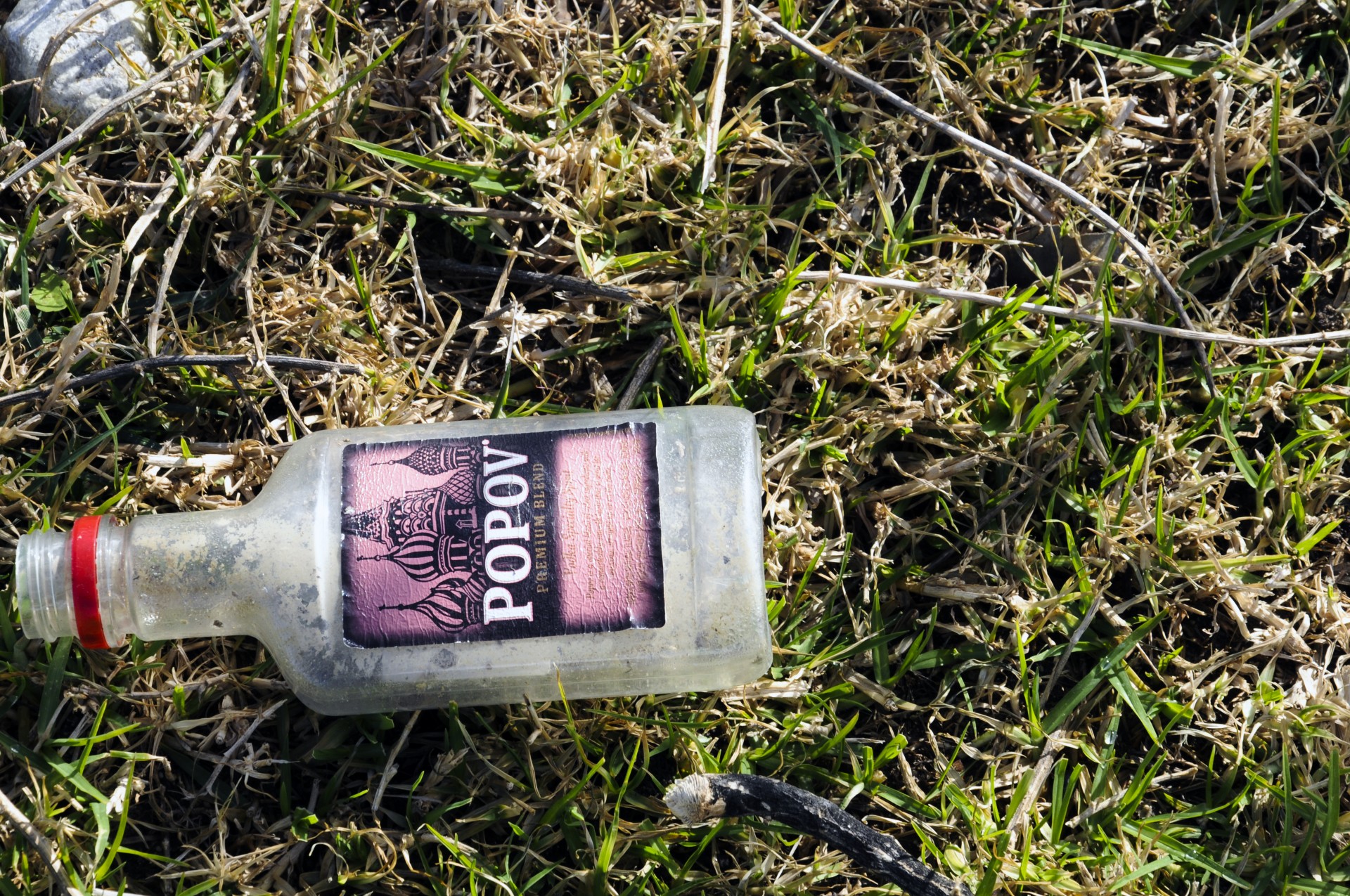 Sticla de alcool gol pe iarba