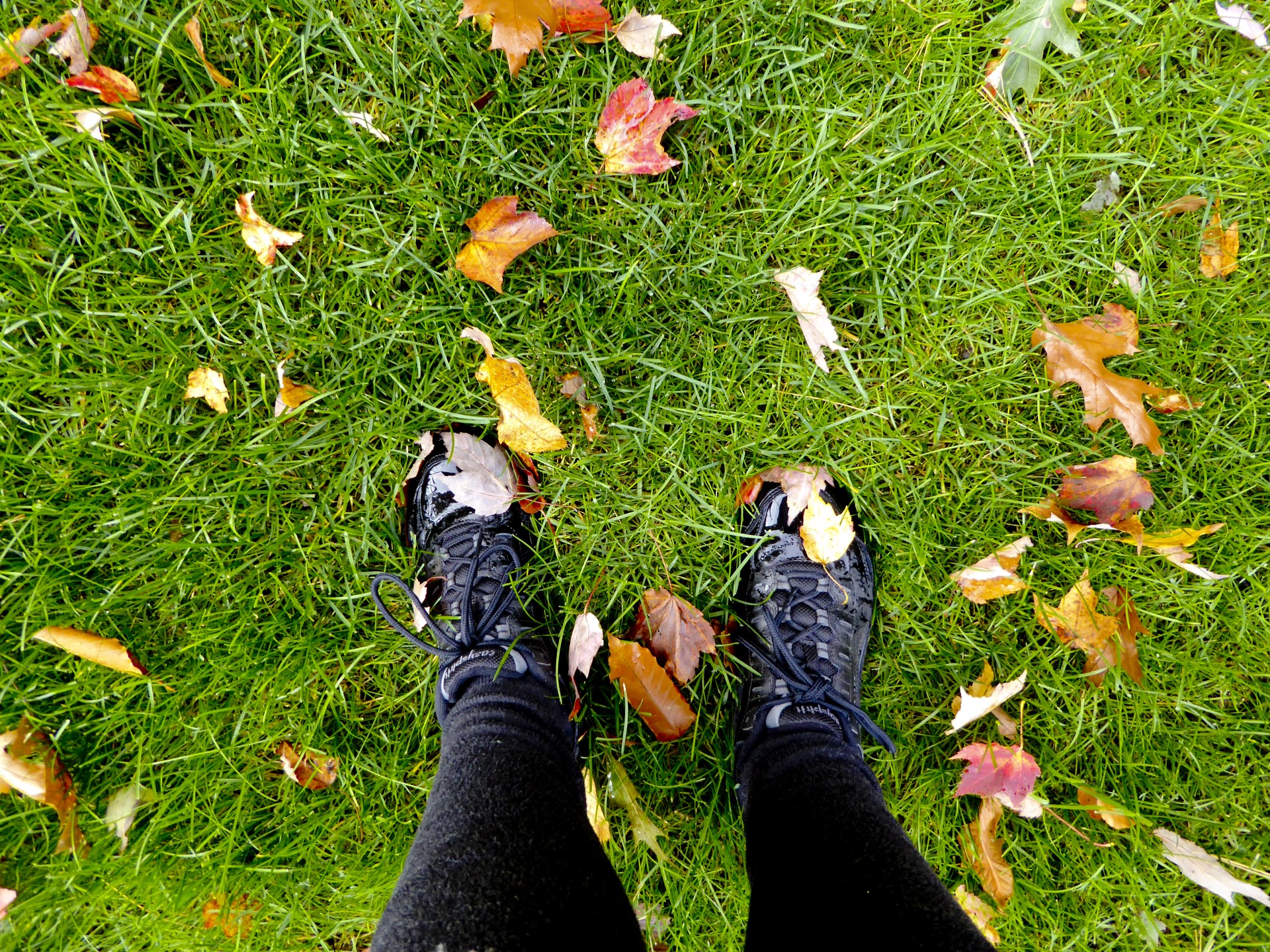 Fall Leaves On My Shoes