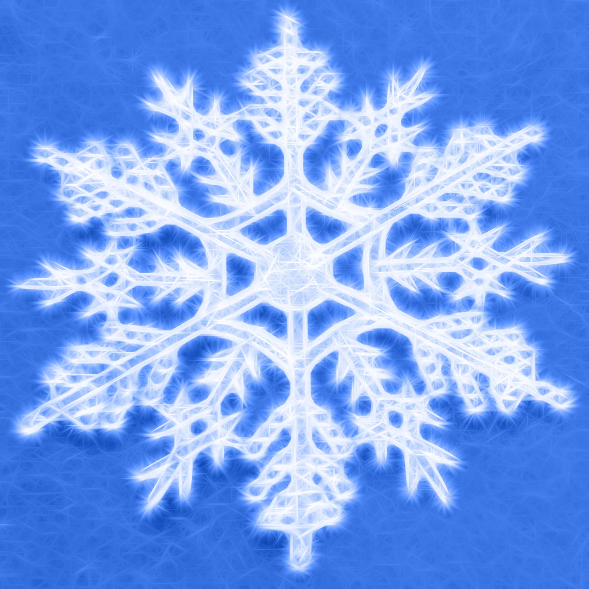Snowflake (11)