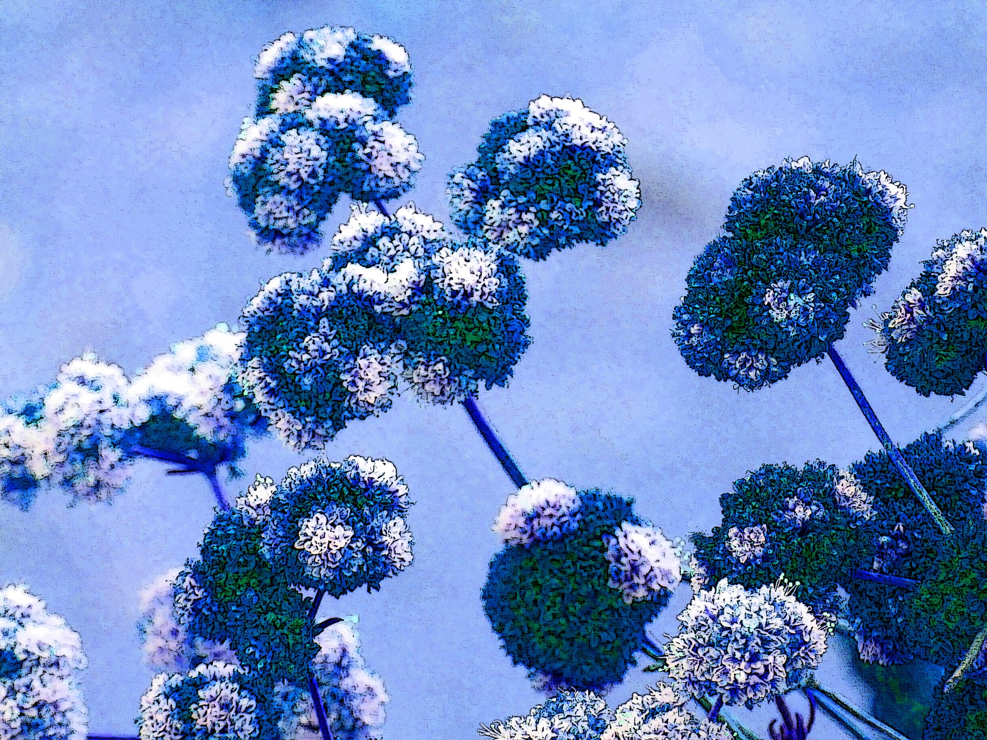 Fundal floral în albastru