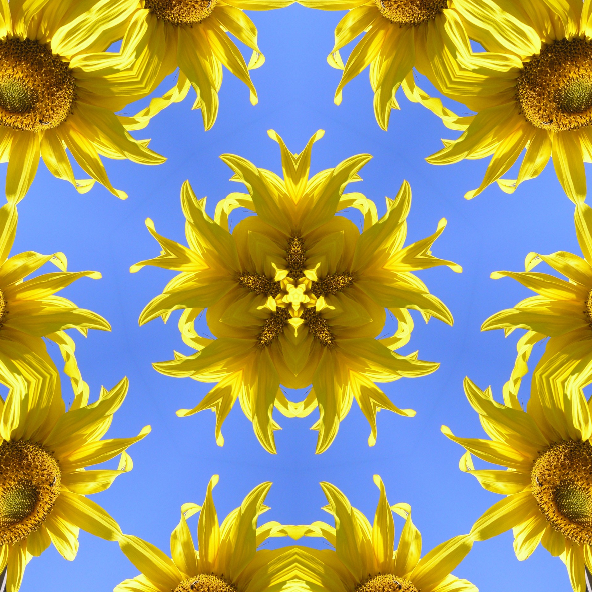 Flower Kaleidoscope 3