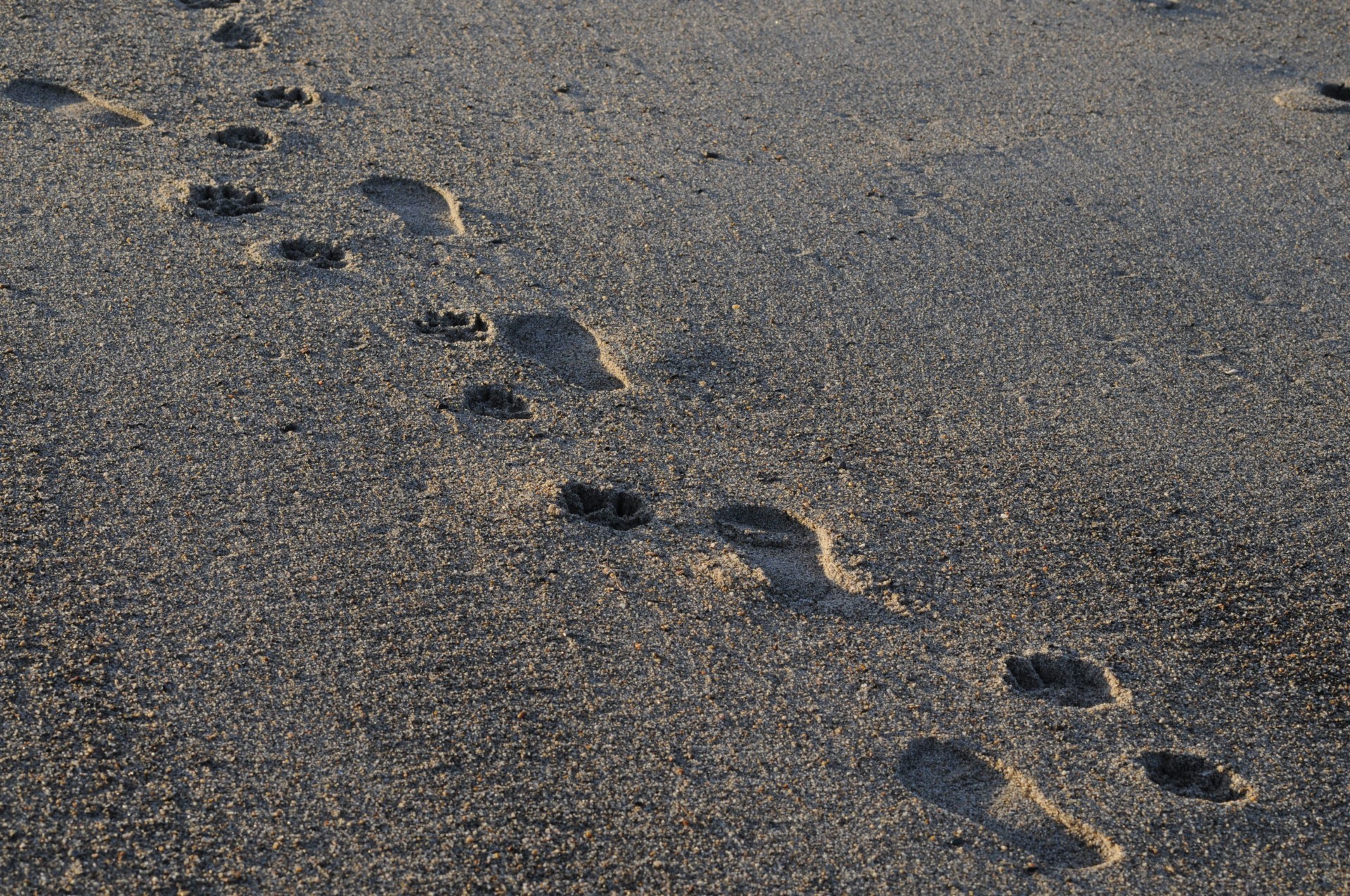 Footprints în nisip