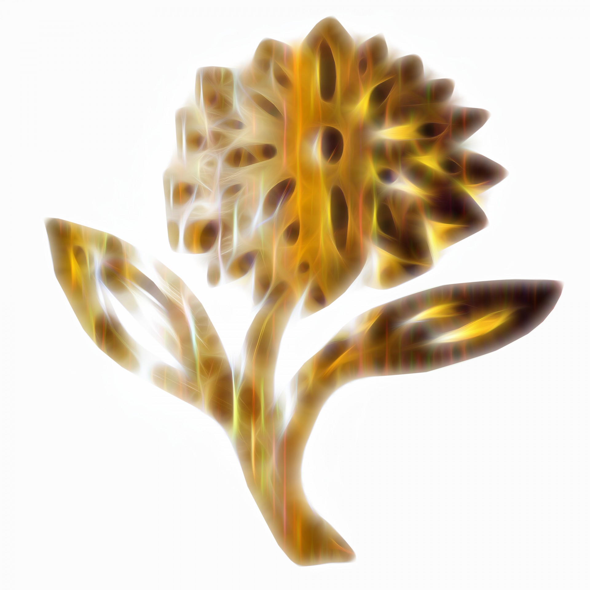 Floare fractal 5