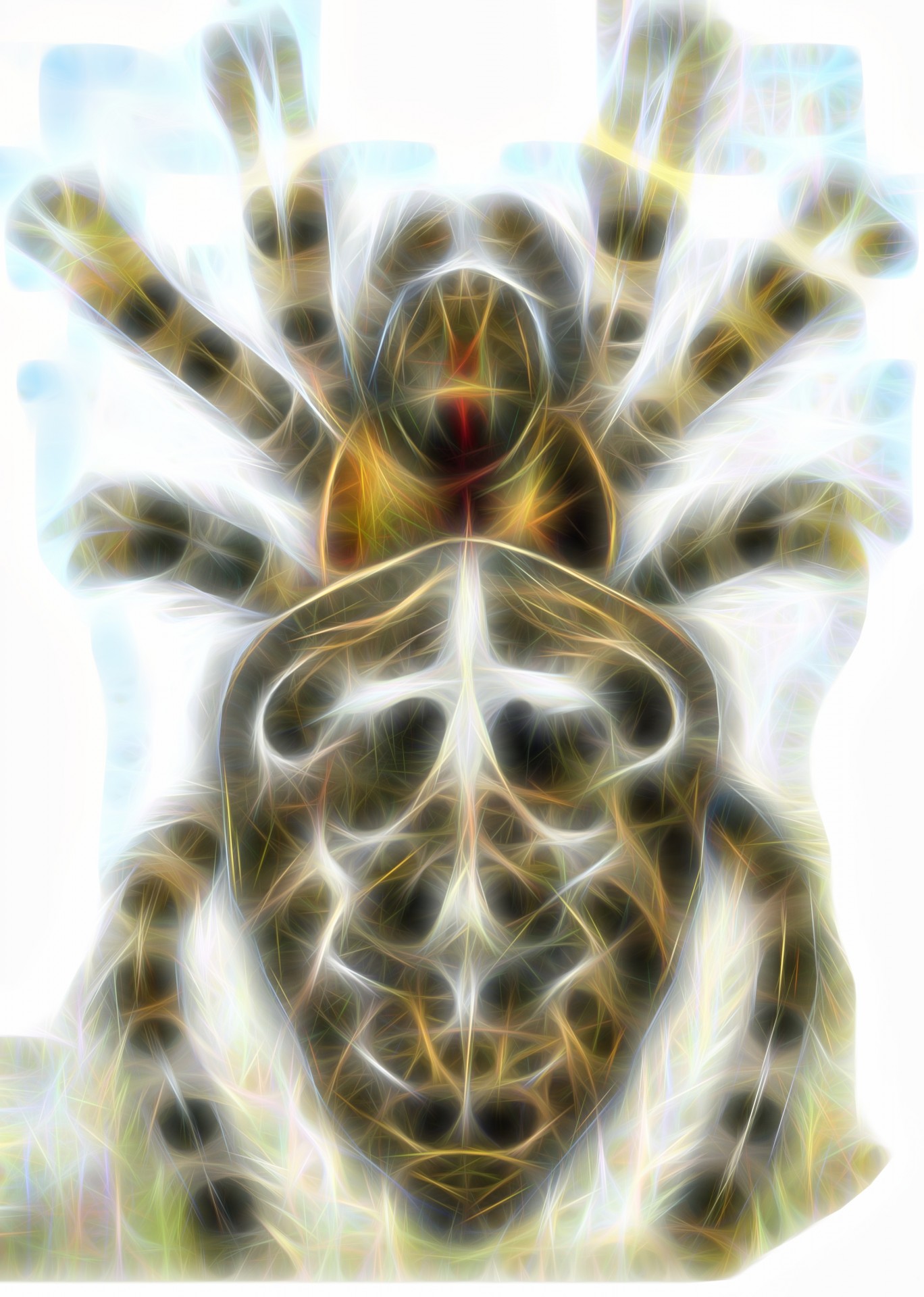 Păianjen fractal