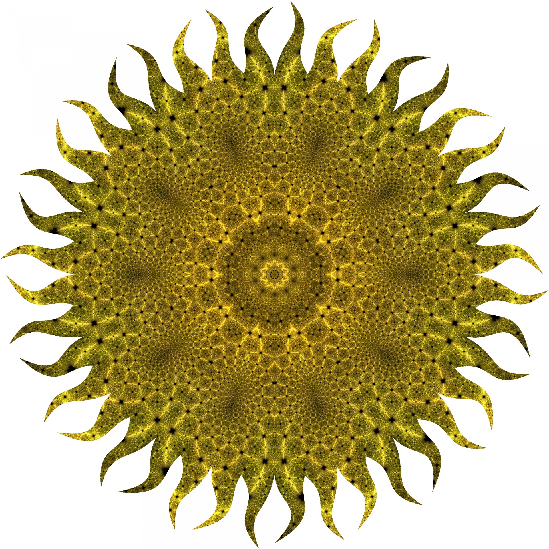 Floarea-soarelui Fractal