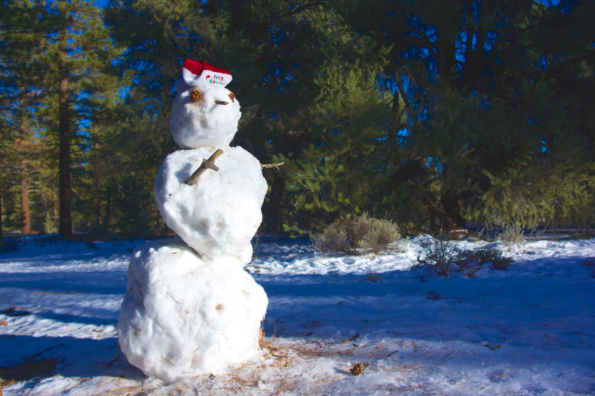 Frosty, omul de zăpadă