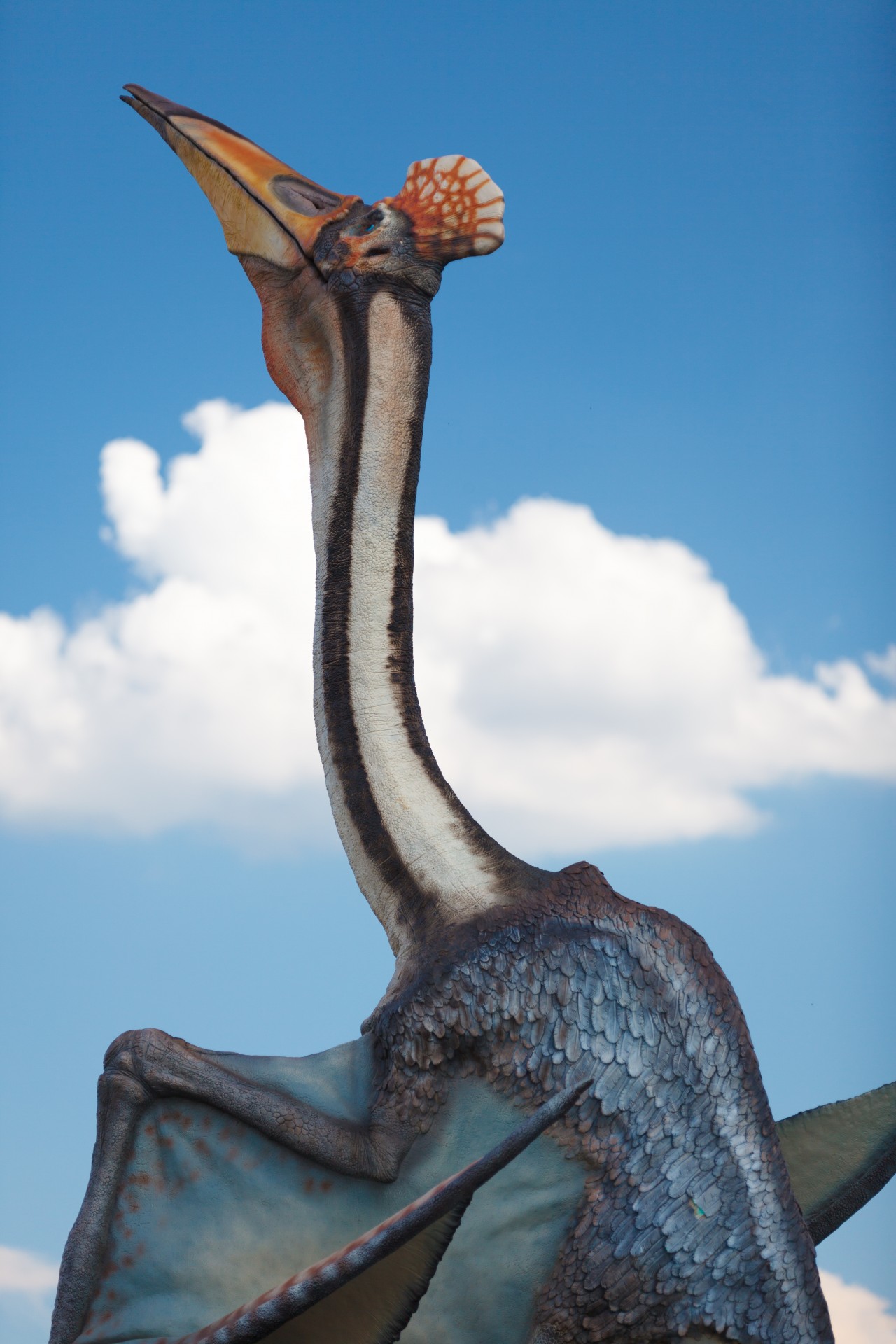 Géant Pterosaur