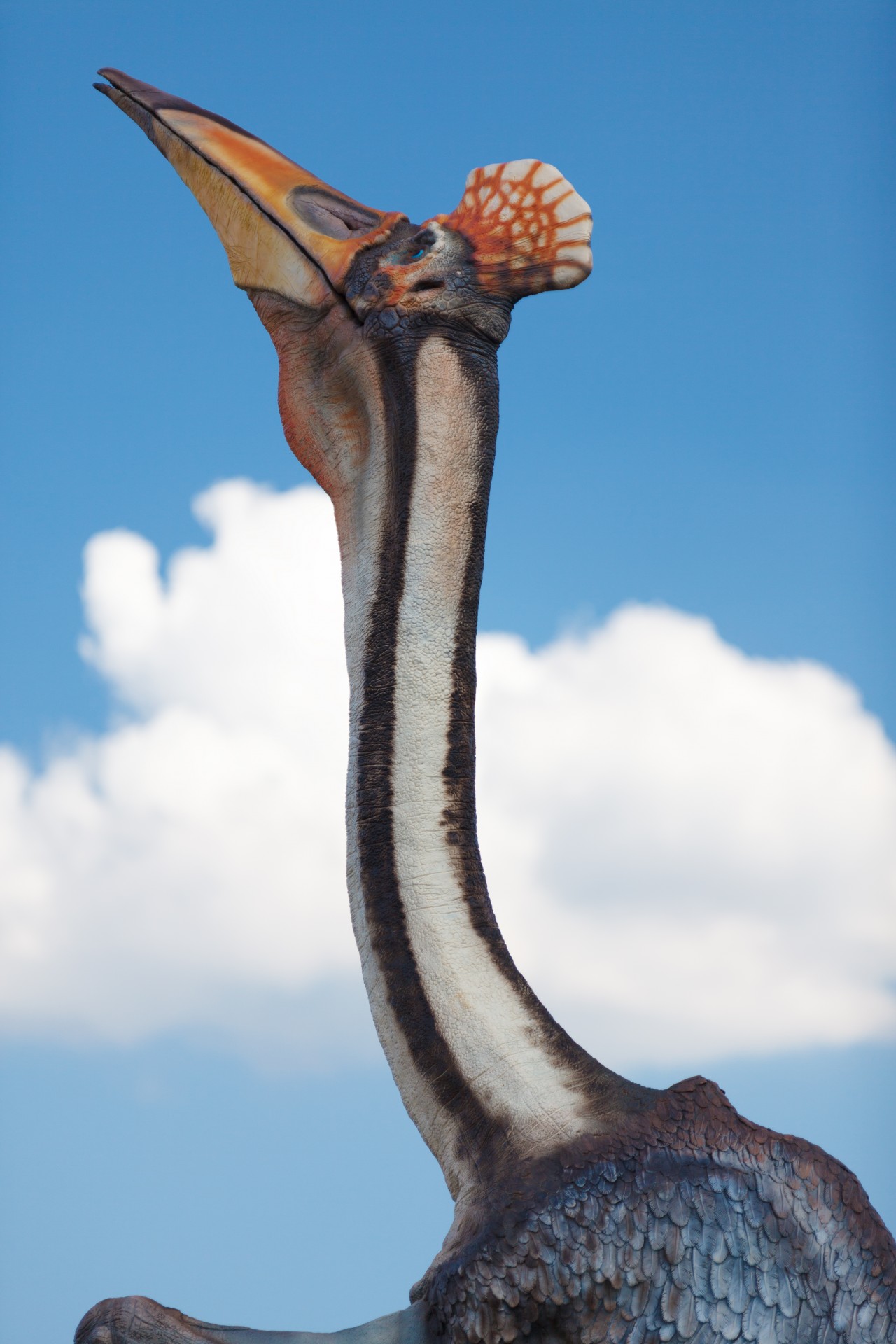 Géant Pterosaur