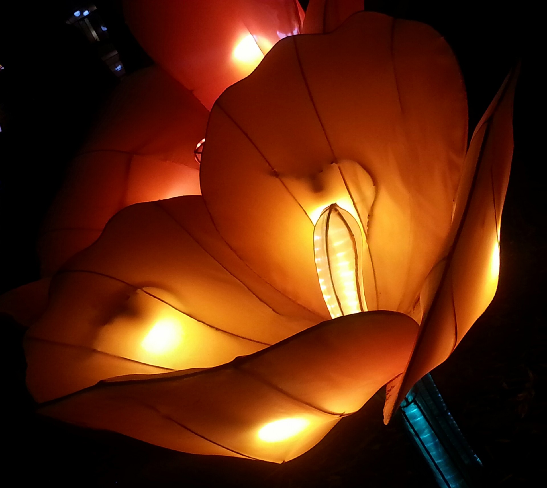 Strălucind Tulip japonez Lantern