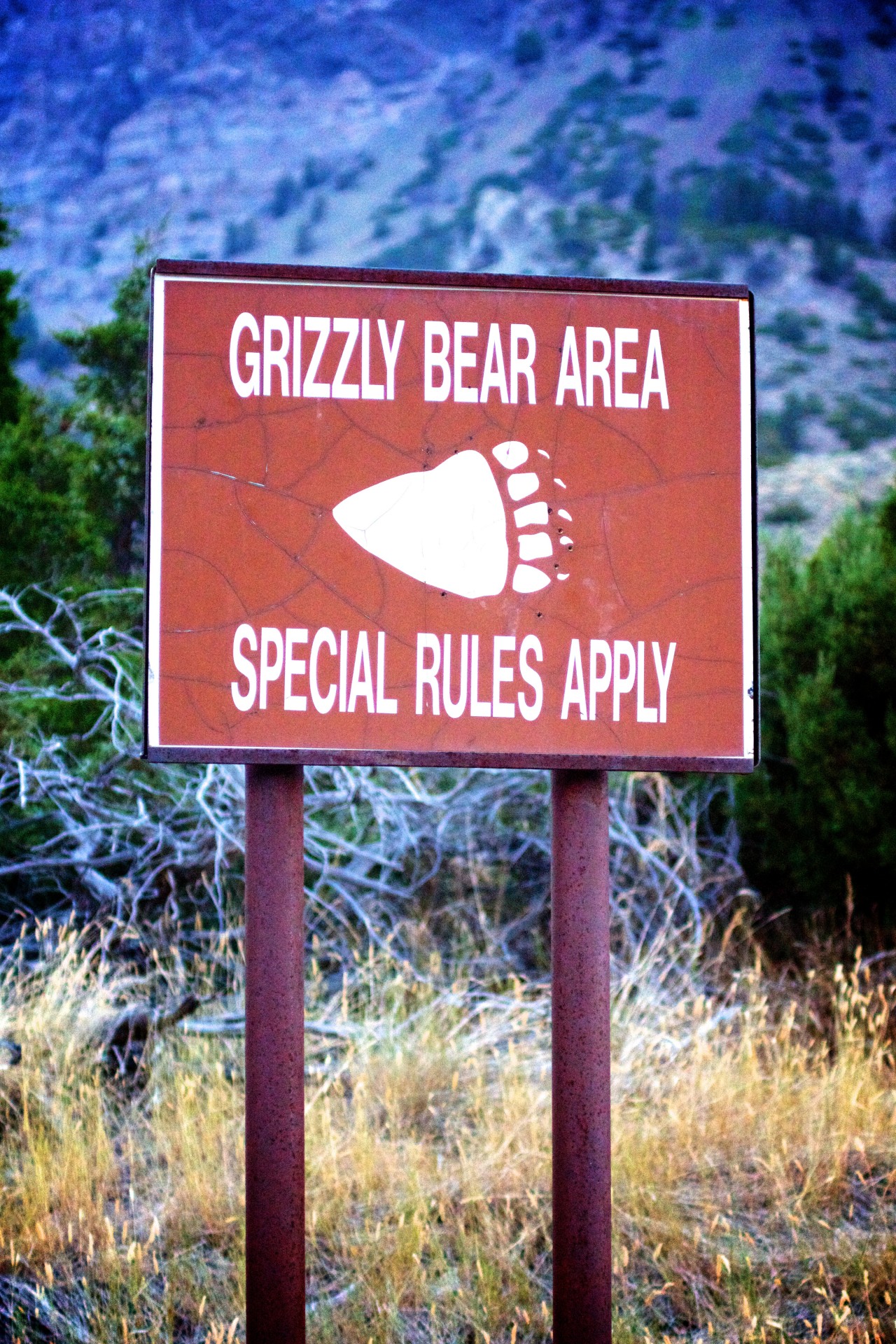 Ursul Grizzly Warning Sign