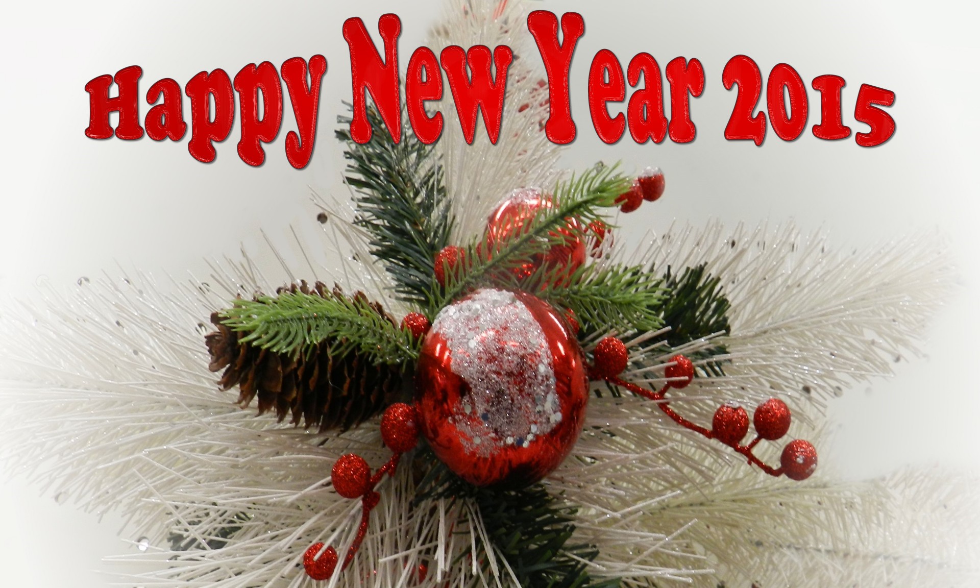 Happy New Year 2015 # 1