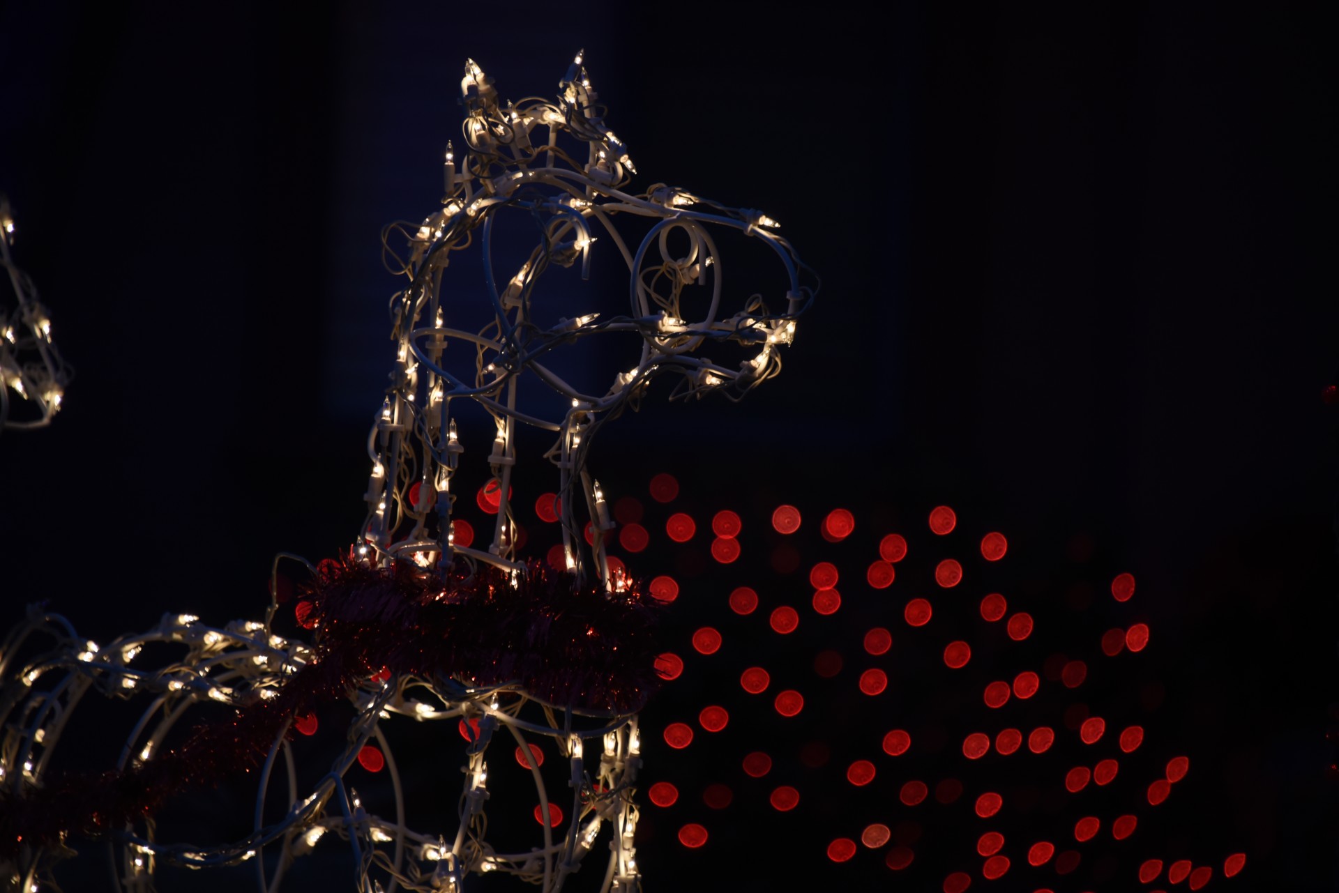 Horse lumini de culoare roșie Bokeh