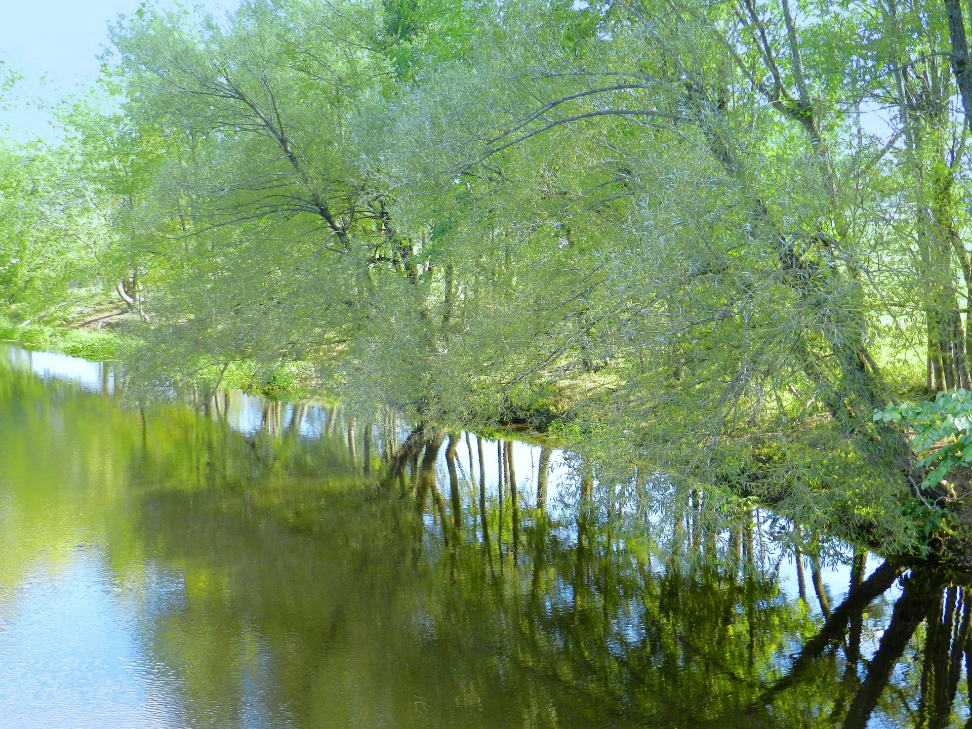 Green River (1)