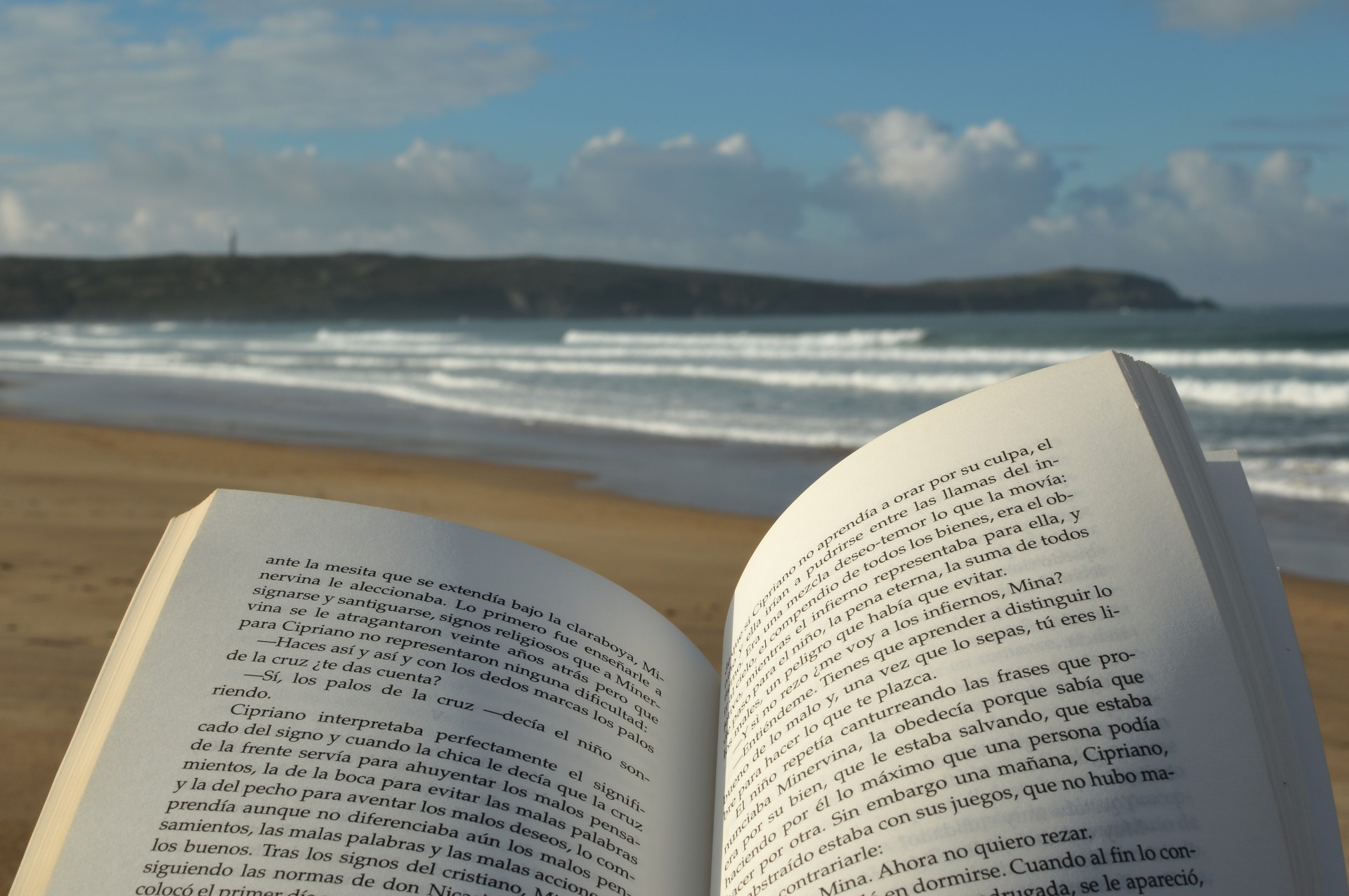 Leyendo un libro en la playa