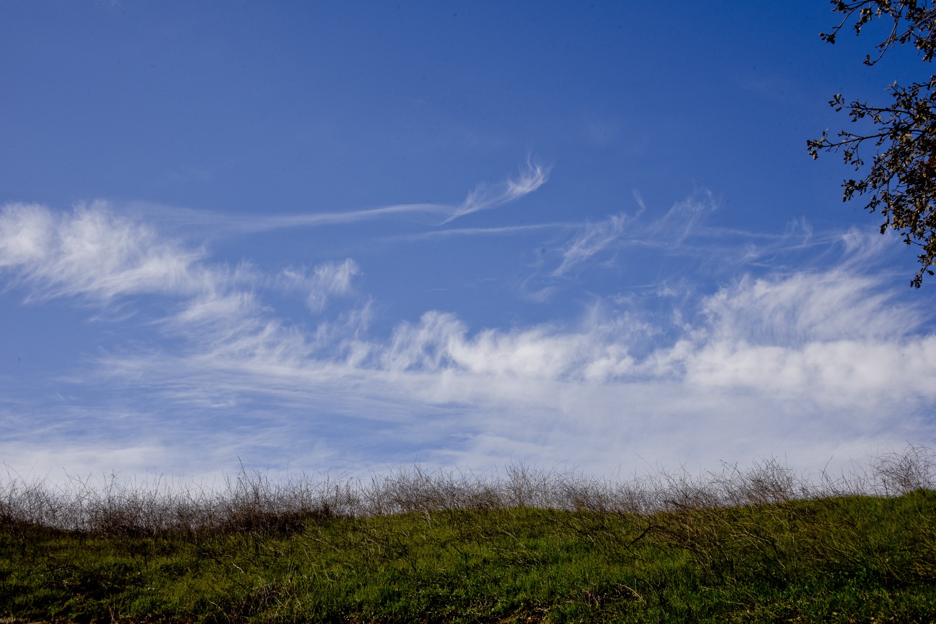 Meadow Sky Context
