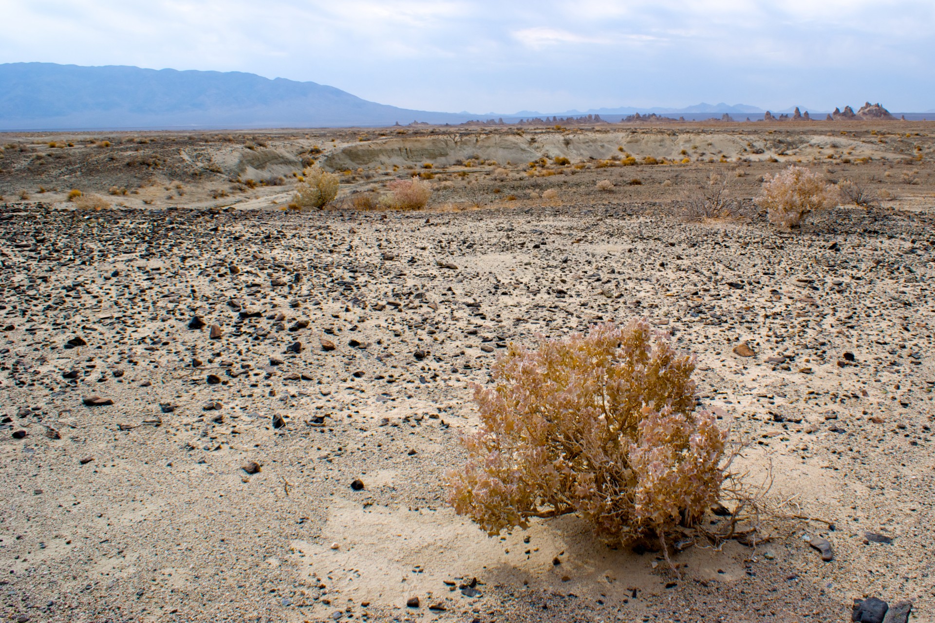 Mojave Desert Desolation