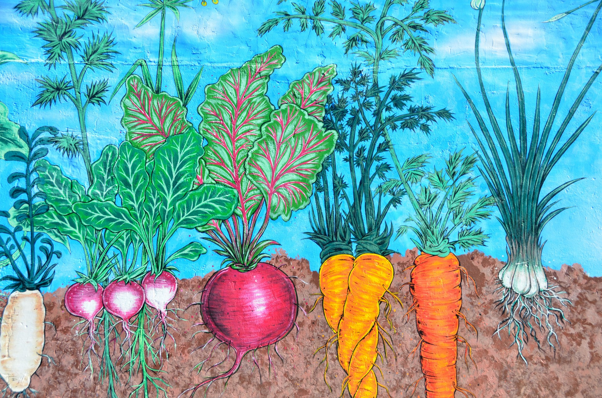 Mural z warzywami ogród