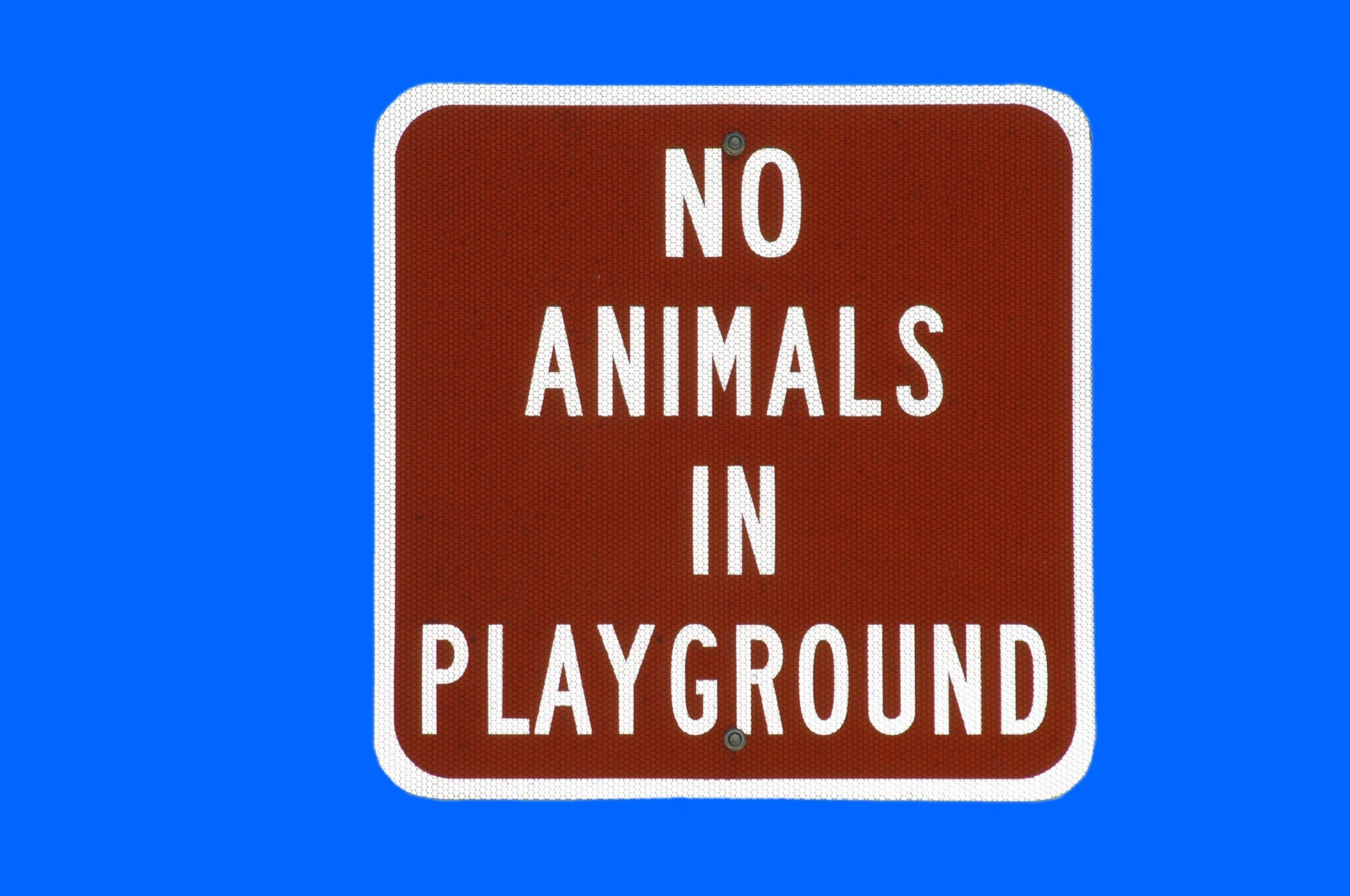 No Animals In The Playground