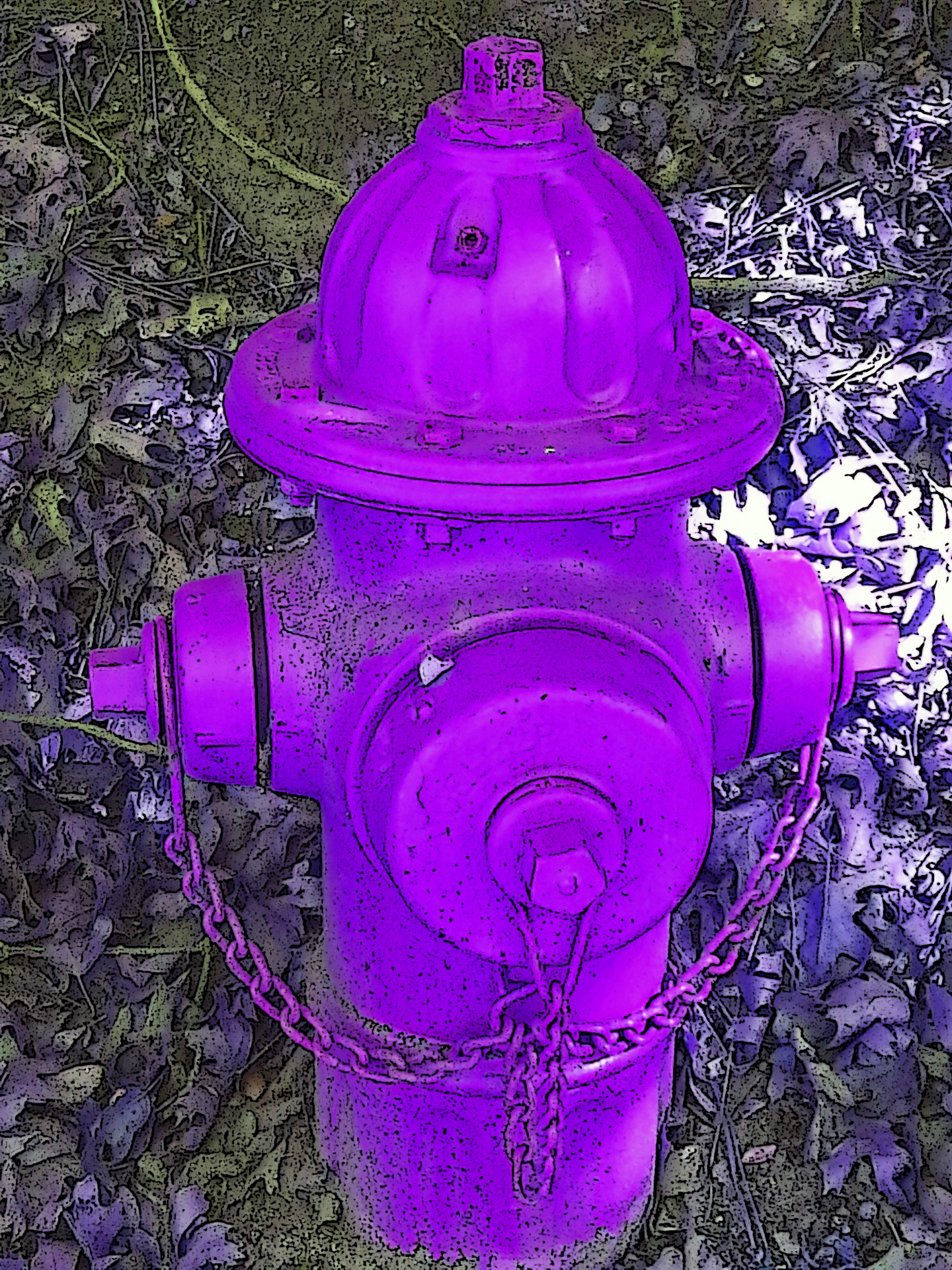 Hidrant de incendiu Purple