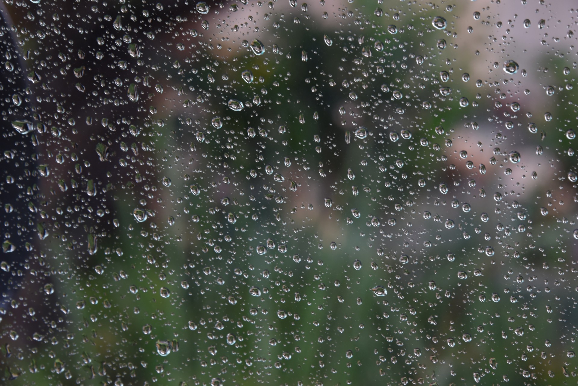 Regn på ett fönster