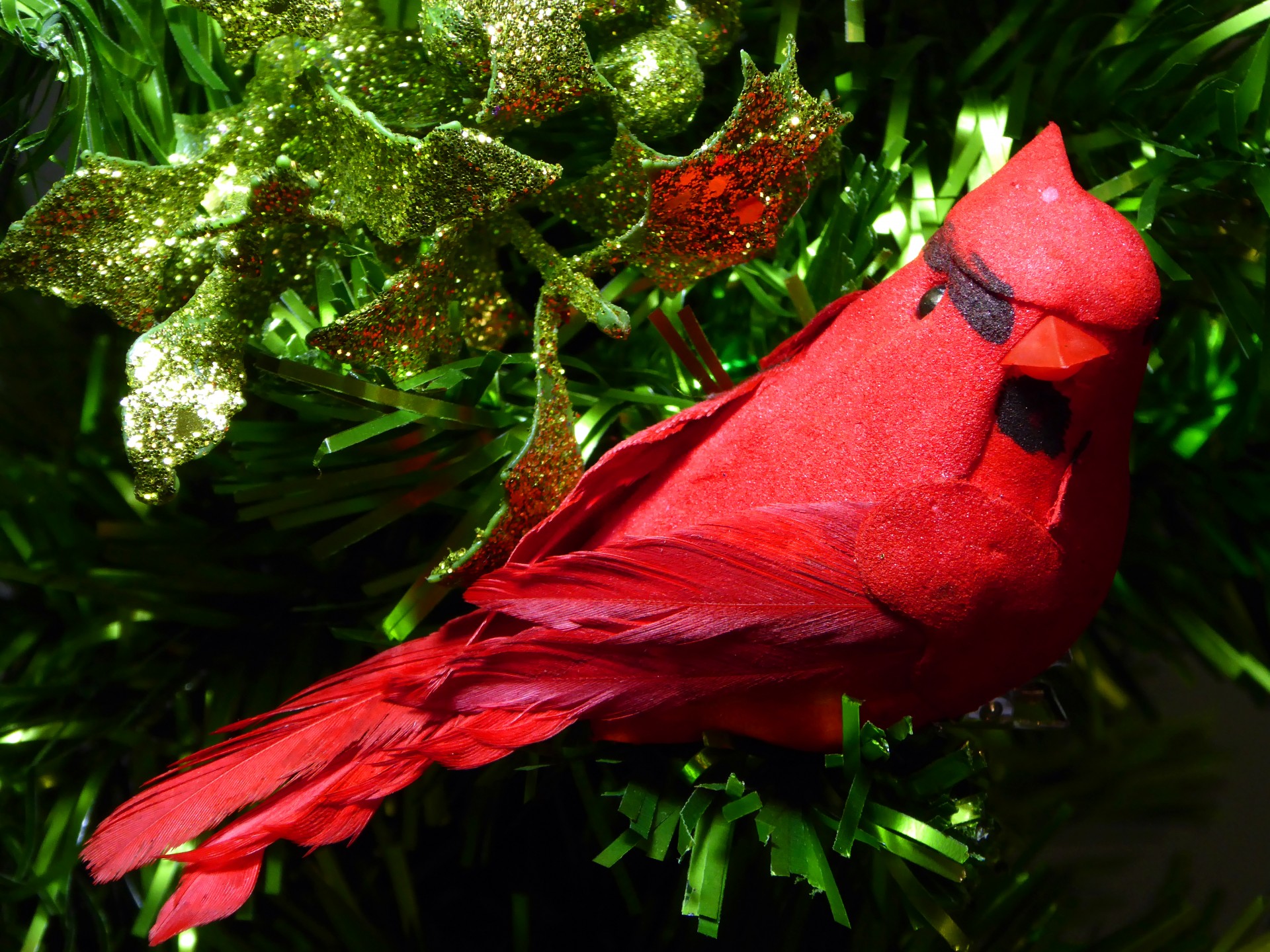 Red Cardinal în Xmas Tree