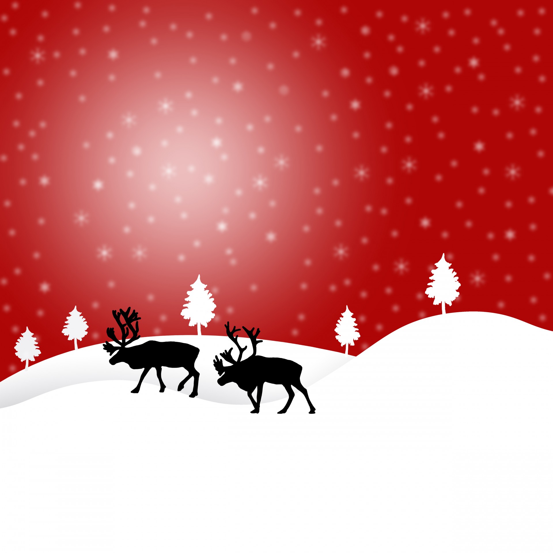 Reindeer în zăpadă