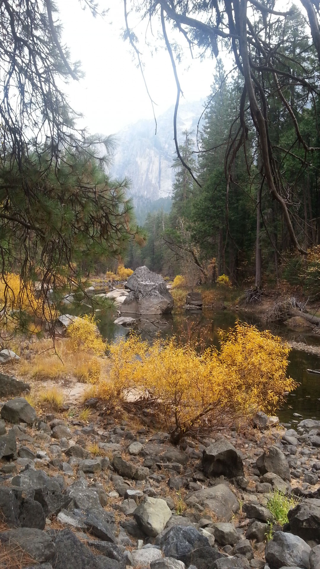 Flussbett in Yosemite
