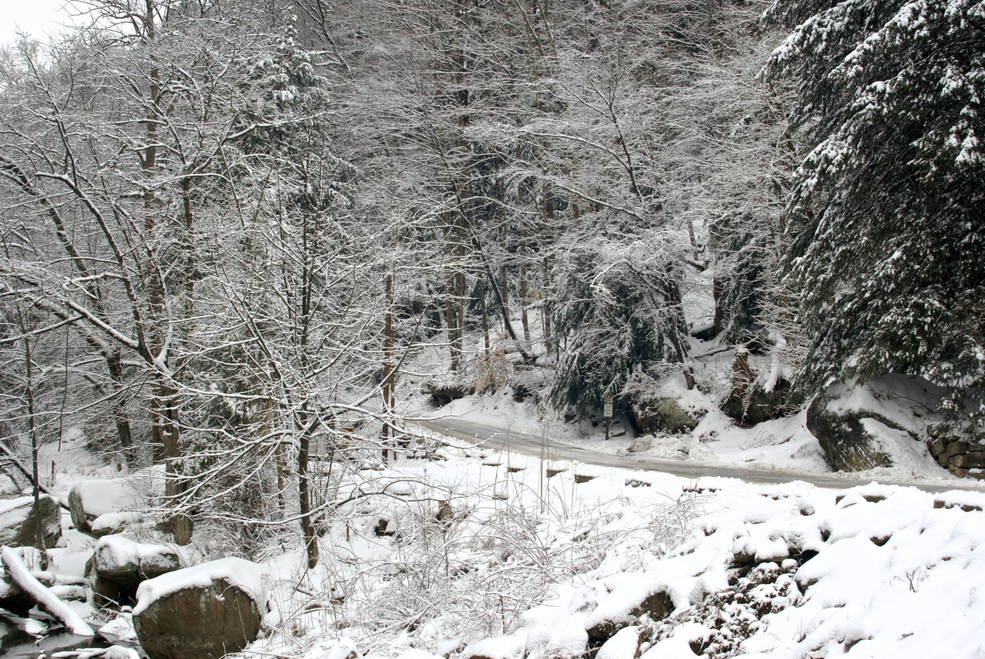 Drumul de afaceri în Woods zăpadă
