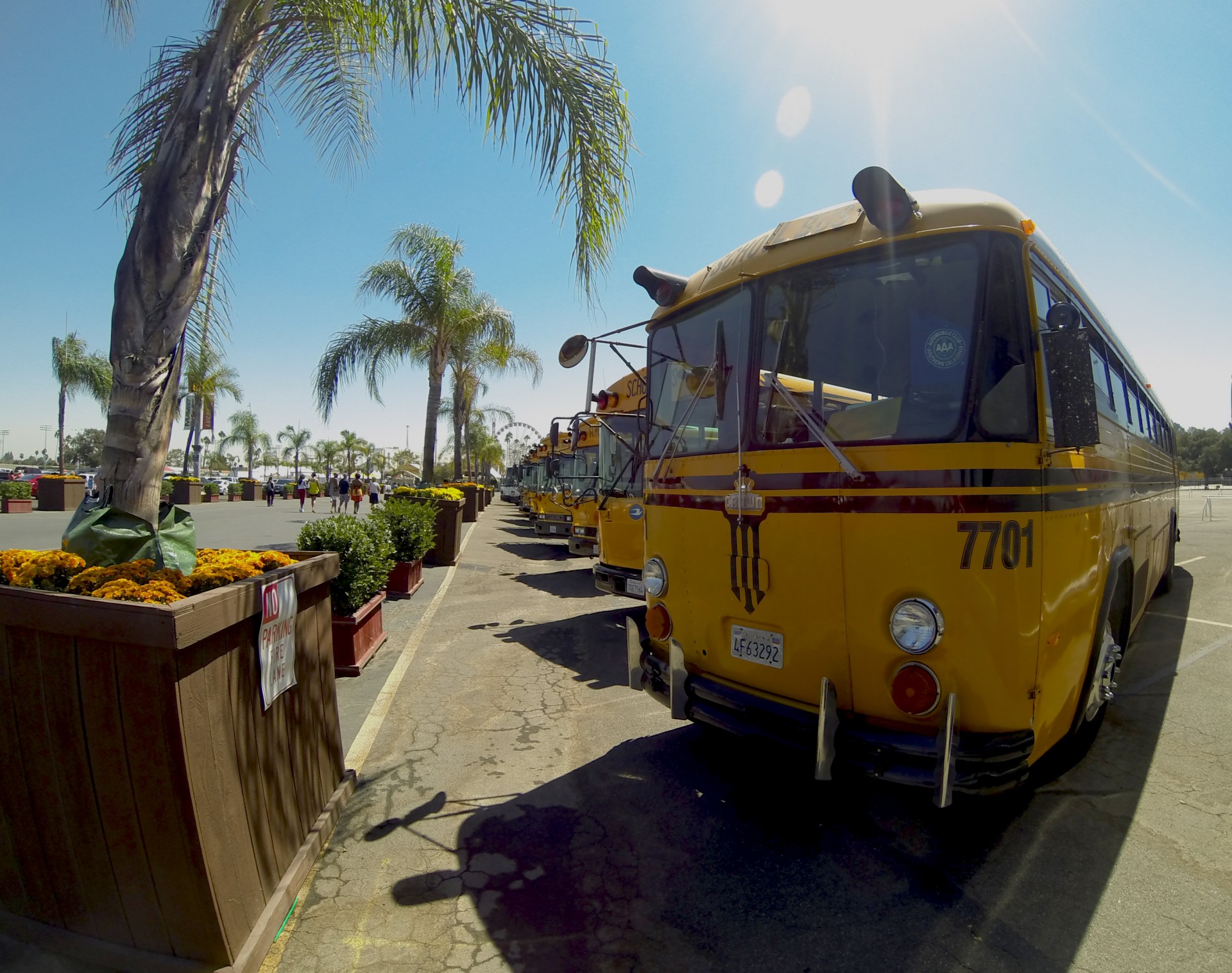 Rând de autobuze școlare galbene