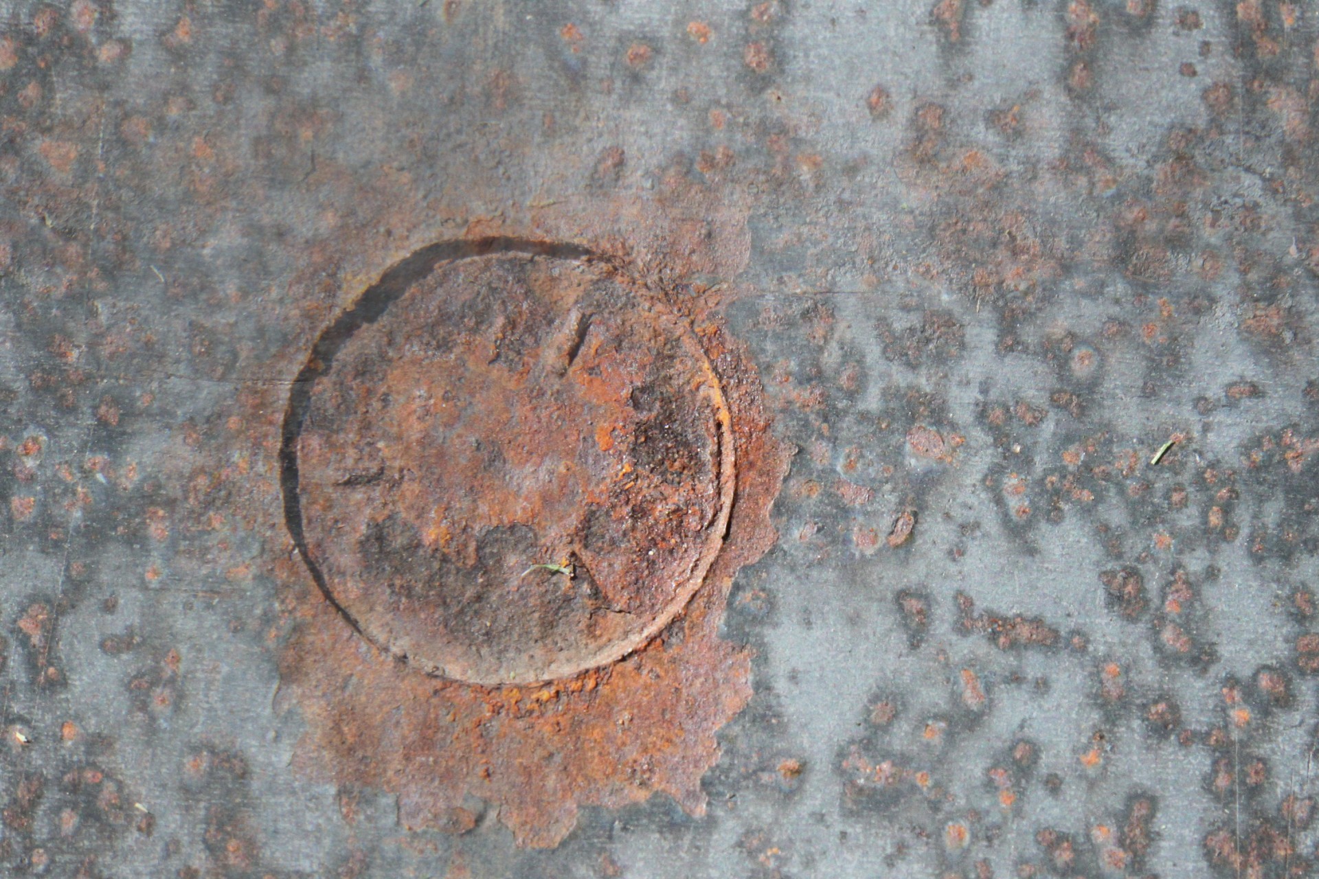 Rusty Tigla metalica imagine