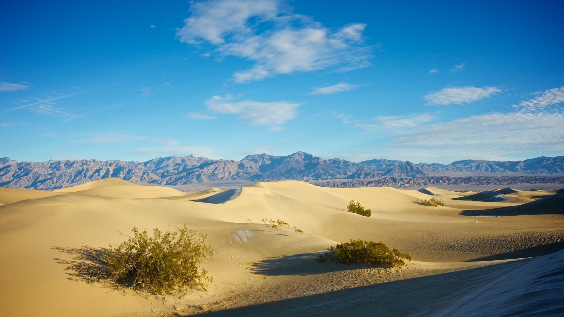 Dunas de arena en el Valle de la Muerte