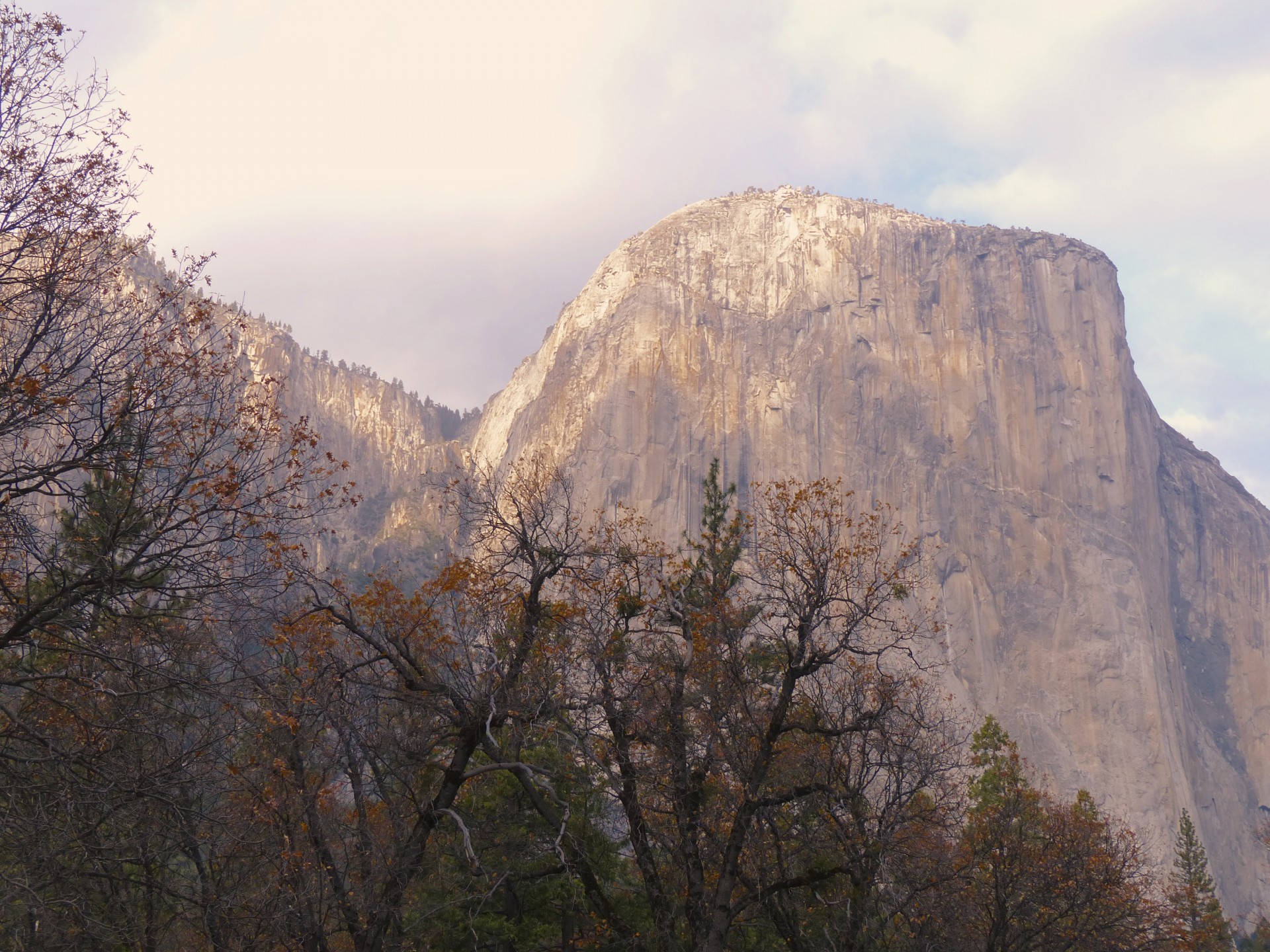 Scenic Yosemite