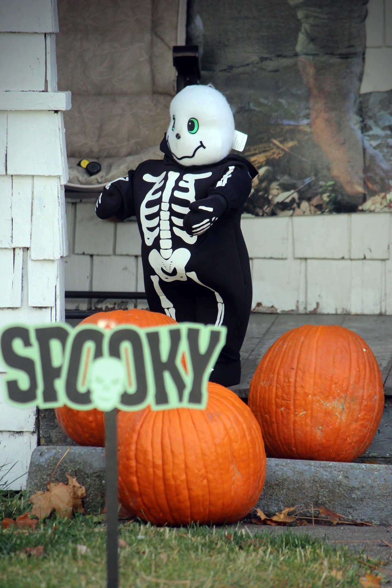 Skeleton Halloween decorare