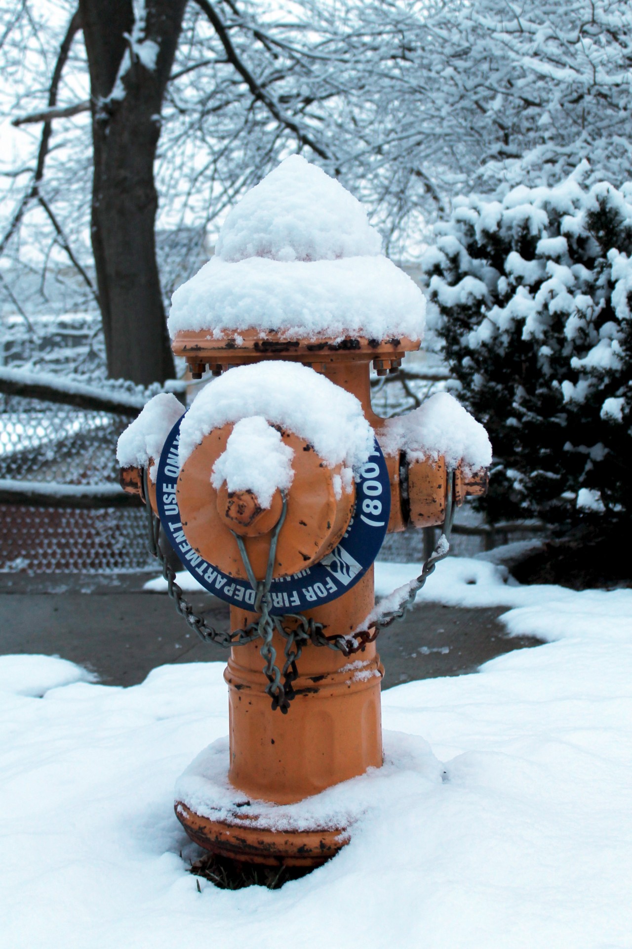 Acoperite de zăpadă hidrant de incendiu