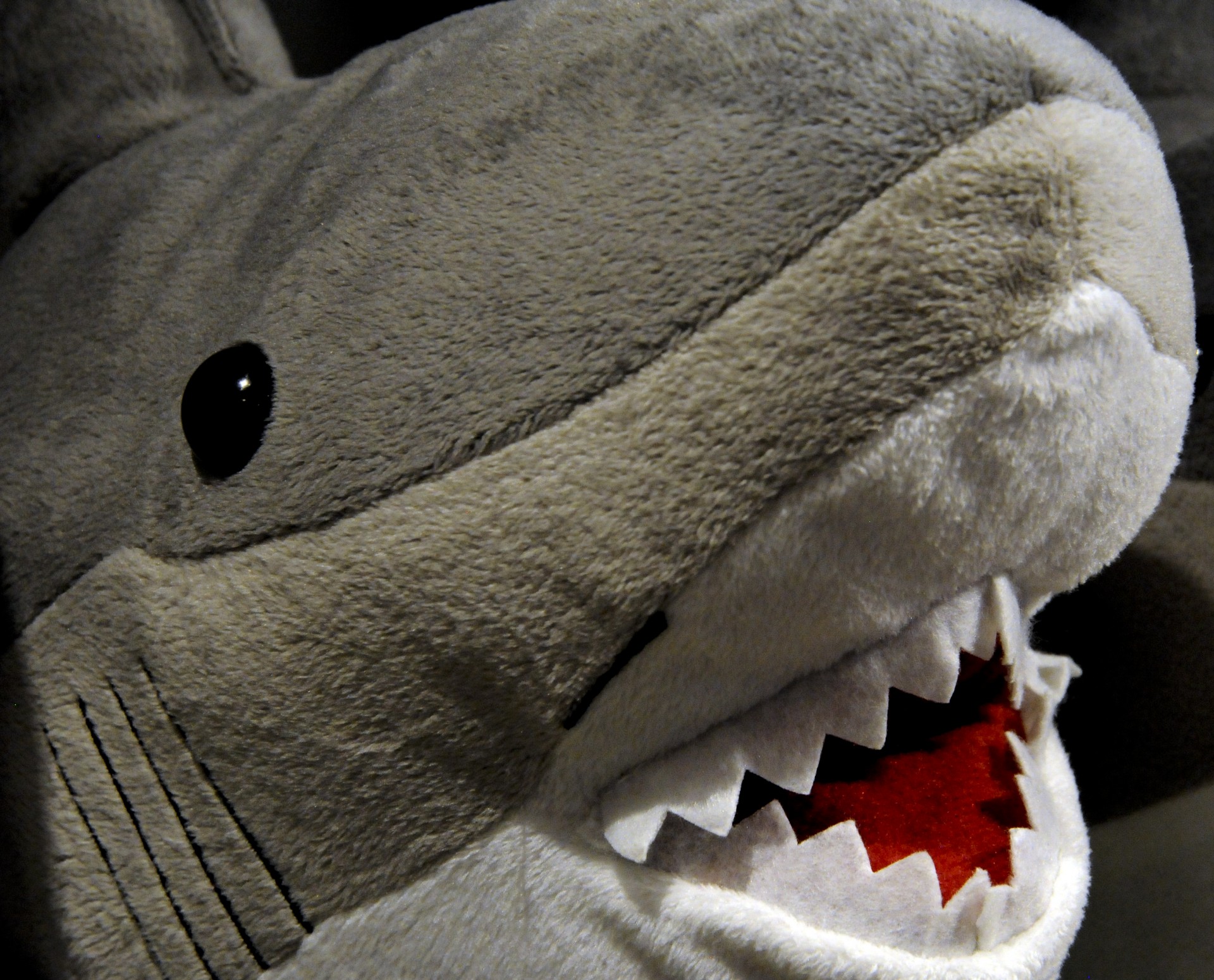 Stuffed Animal Shark