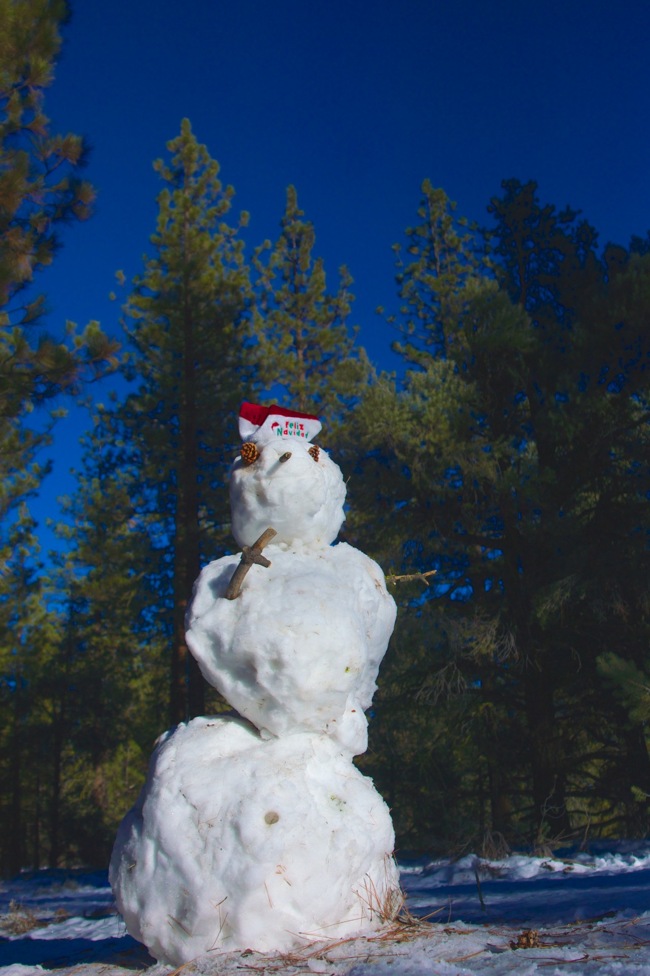 Tall Frosty de Sneeuwman