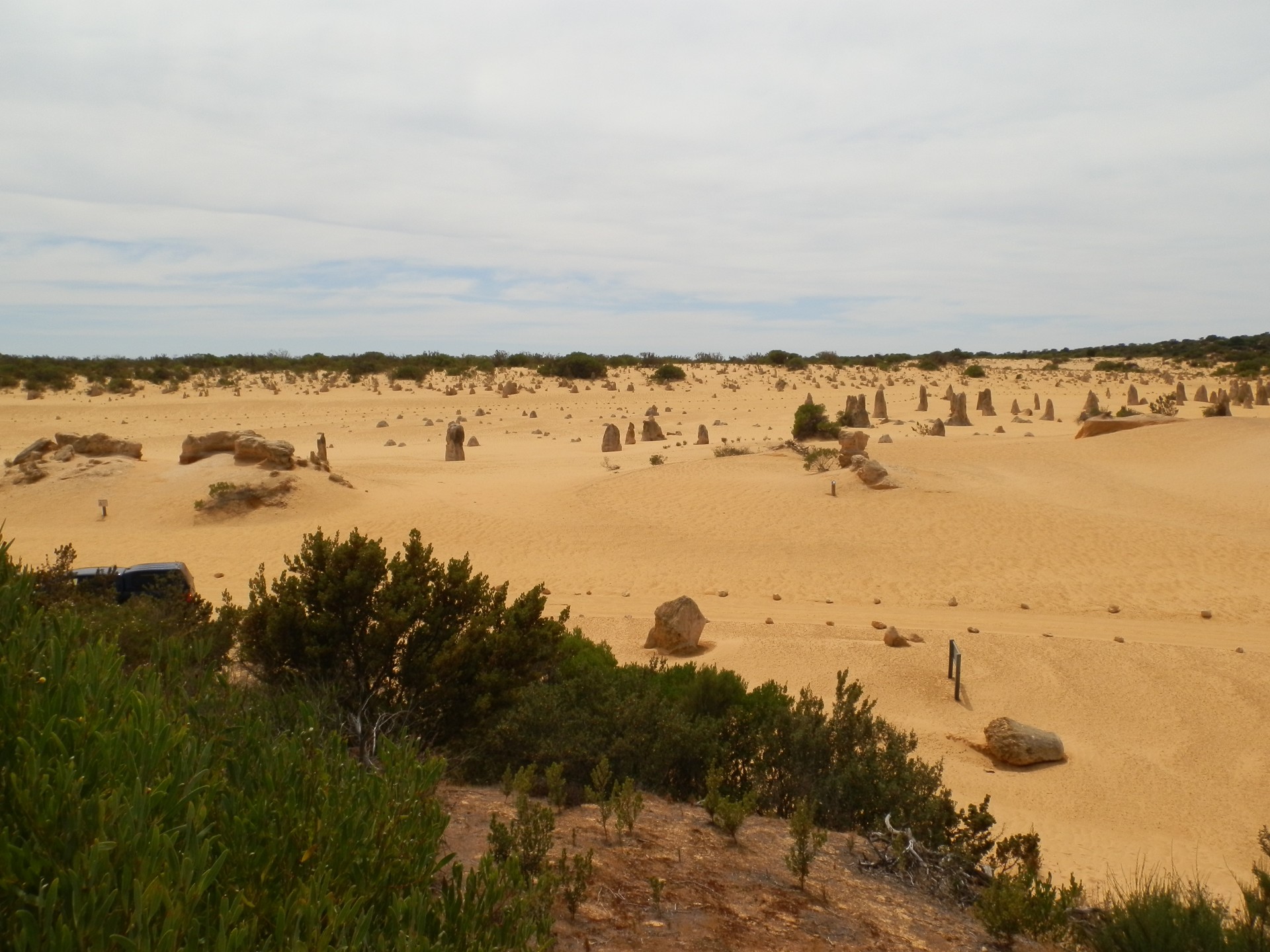 Башенки Desert