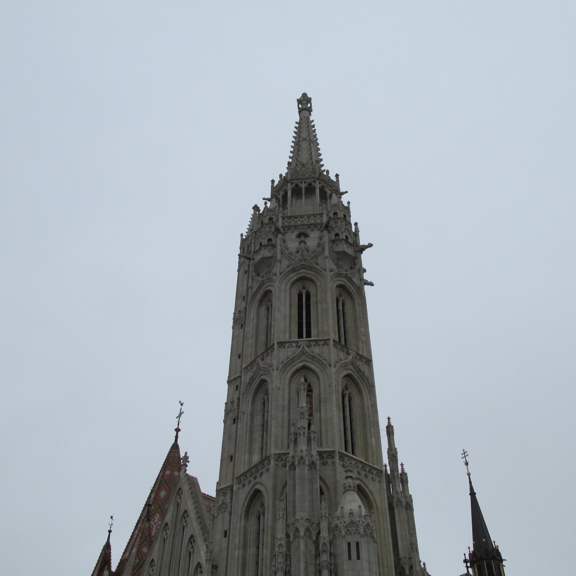 Wieża Kościół Macieja